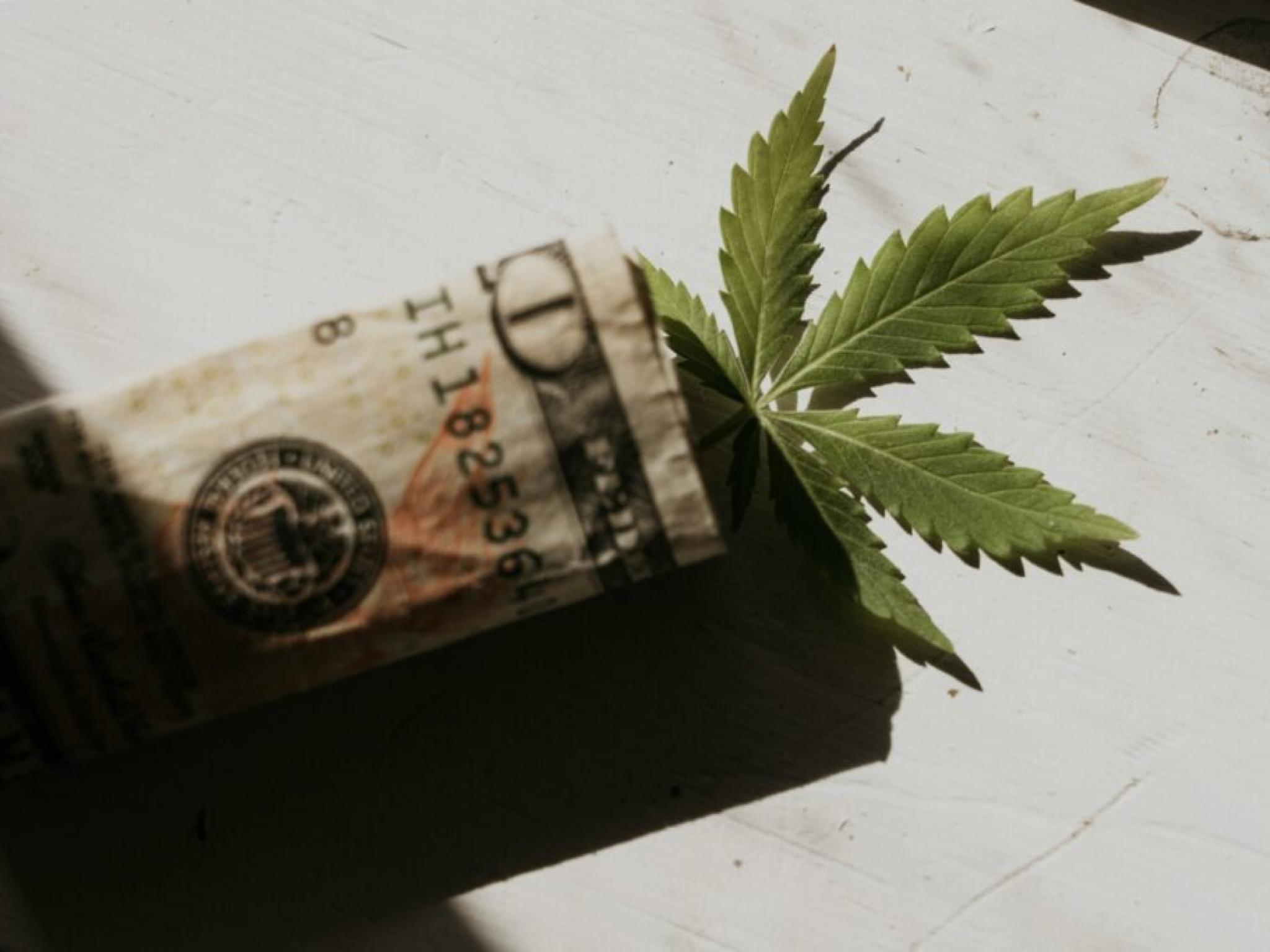 크레스코 랩스 2분기 매출 7% 감소에도 총이익 9% 증가... 대마초 시장 점유율 1위 유지