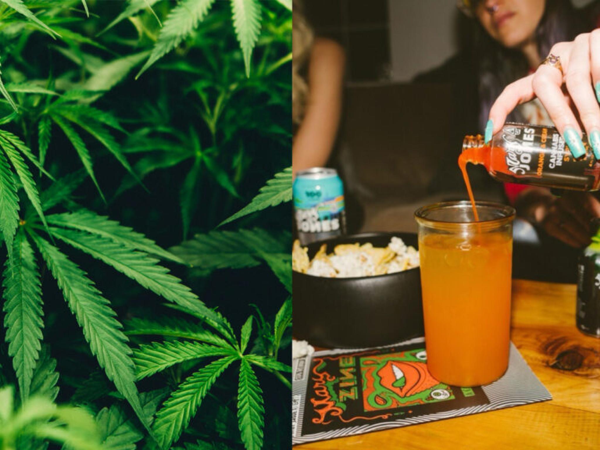 THC 함유 탄산음료 제조사, 미시간 진출과 캘리포니아 제품 라인업 확대로 시장 입지 강화