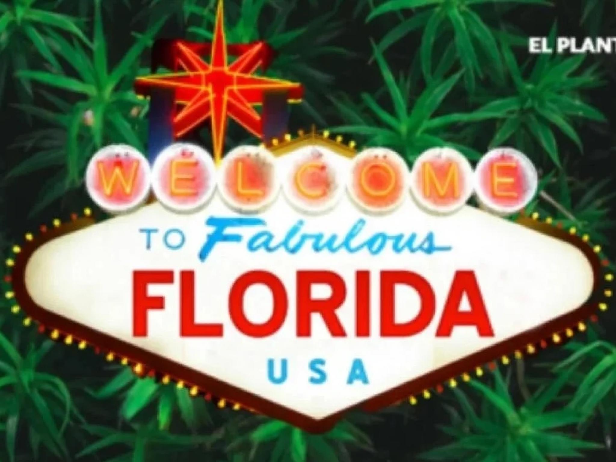  florida-cannabis-legalization-one-poll-shows-weed-going-legal-in-november-ballot-another-thumbs-down 