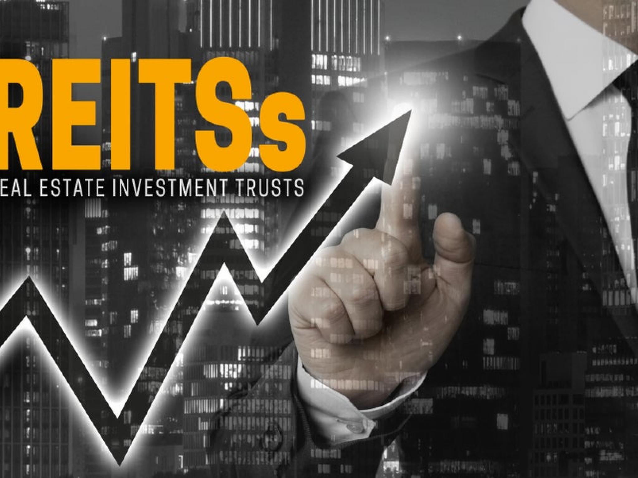  real-estate-etfs-see-longest-inflow-streak-since-march-2022-as-investors-jump-on-the-rate-cut-bandwagon 