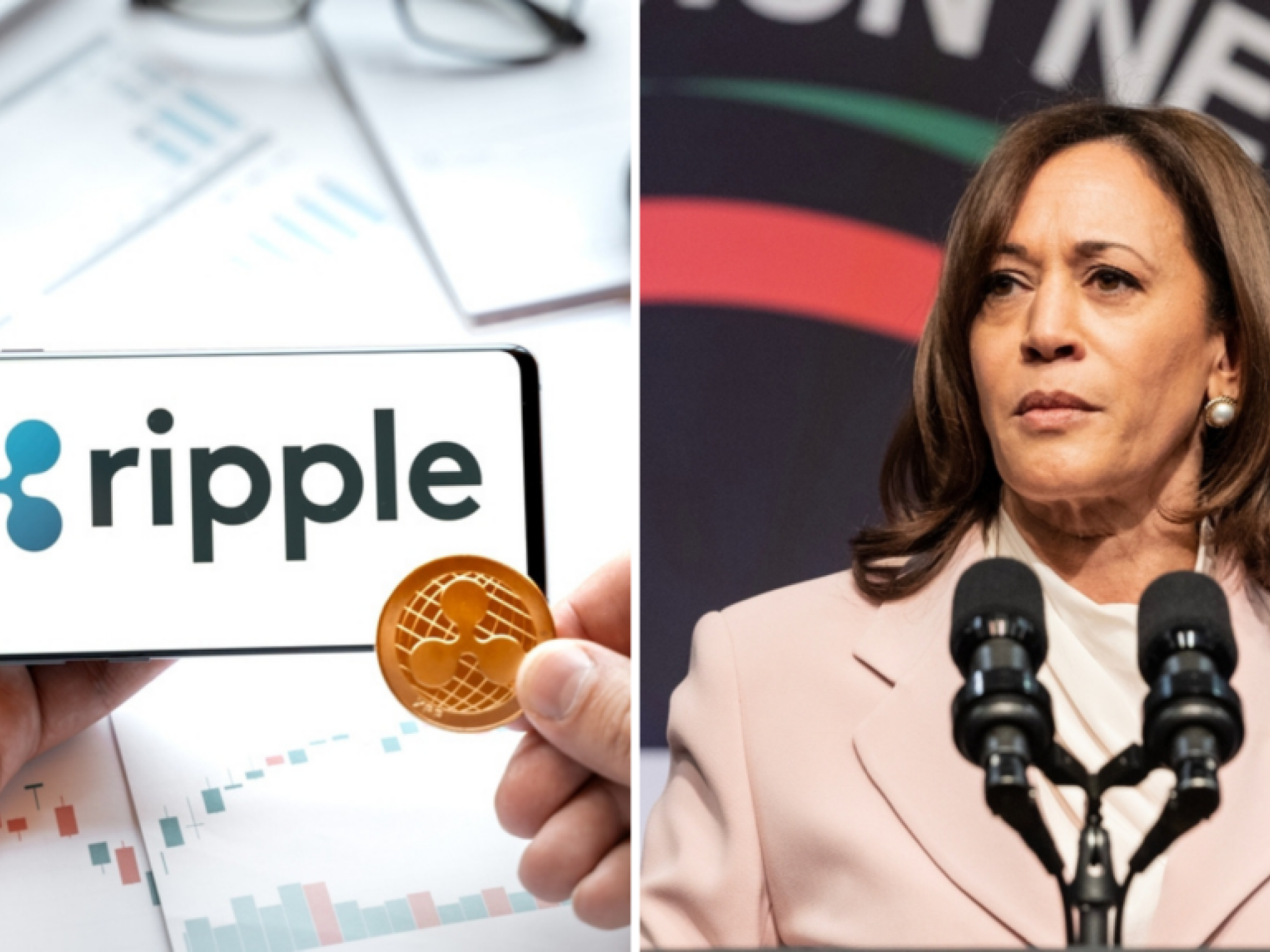  ripple-co-founder-backs-kamala-harris-while-crypto-regulatory-debates-continue 