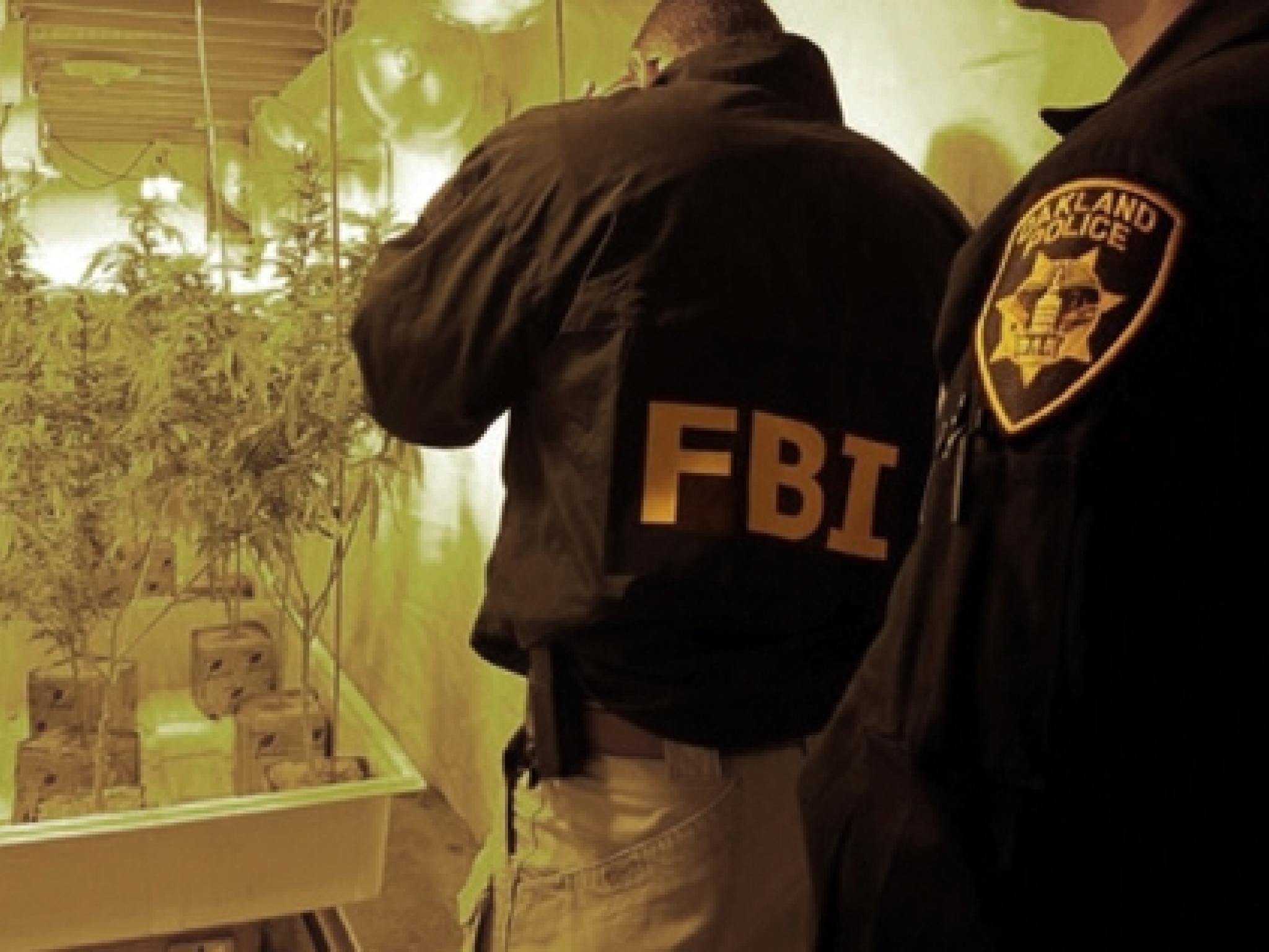 FBI 보고서: 2023년 21만여 명 대마초 관련 체포... 그 이유는?