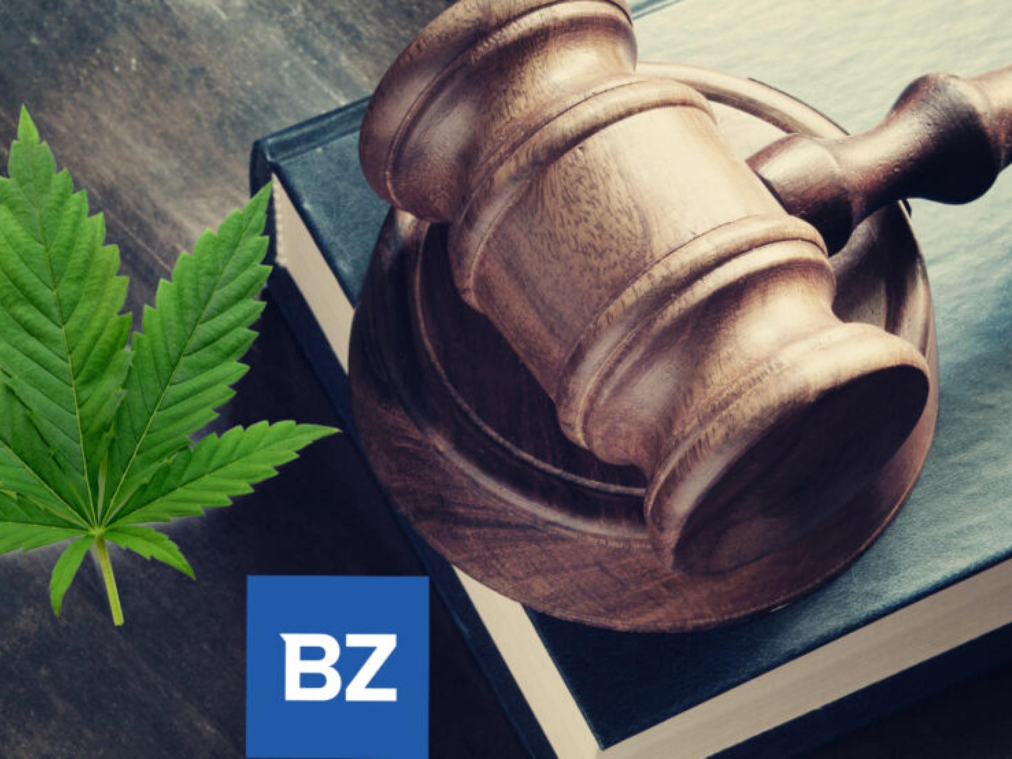 미국 의회 CBD 규제안 `획기적`... 헴프 연합 `오래 기다려온 일` 환영