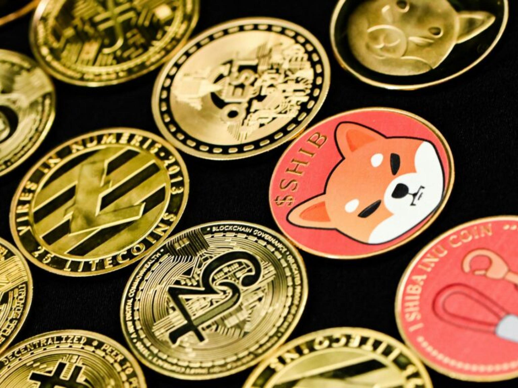  memecoin-supercycle-means-best-tokens-are-cults-says-analyst-do-dogecoin-and-shiba-inu-fit-the-bill 