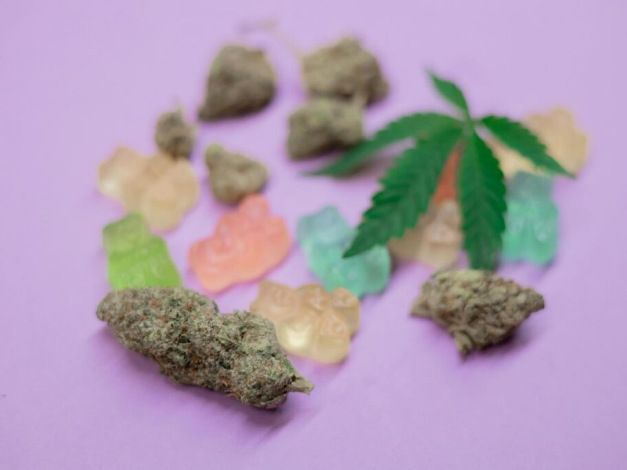 대마초 식용제품 혁명: 애센드, 동부 시장에 THC-칸나비노이드 혼합 신제품 출시