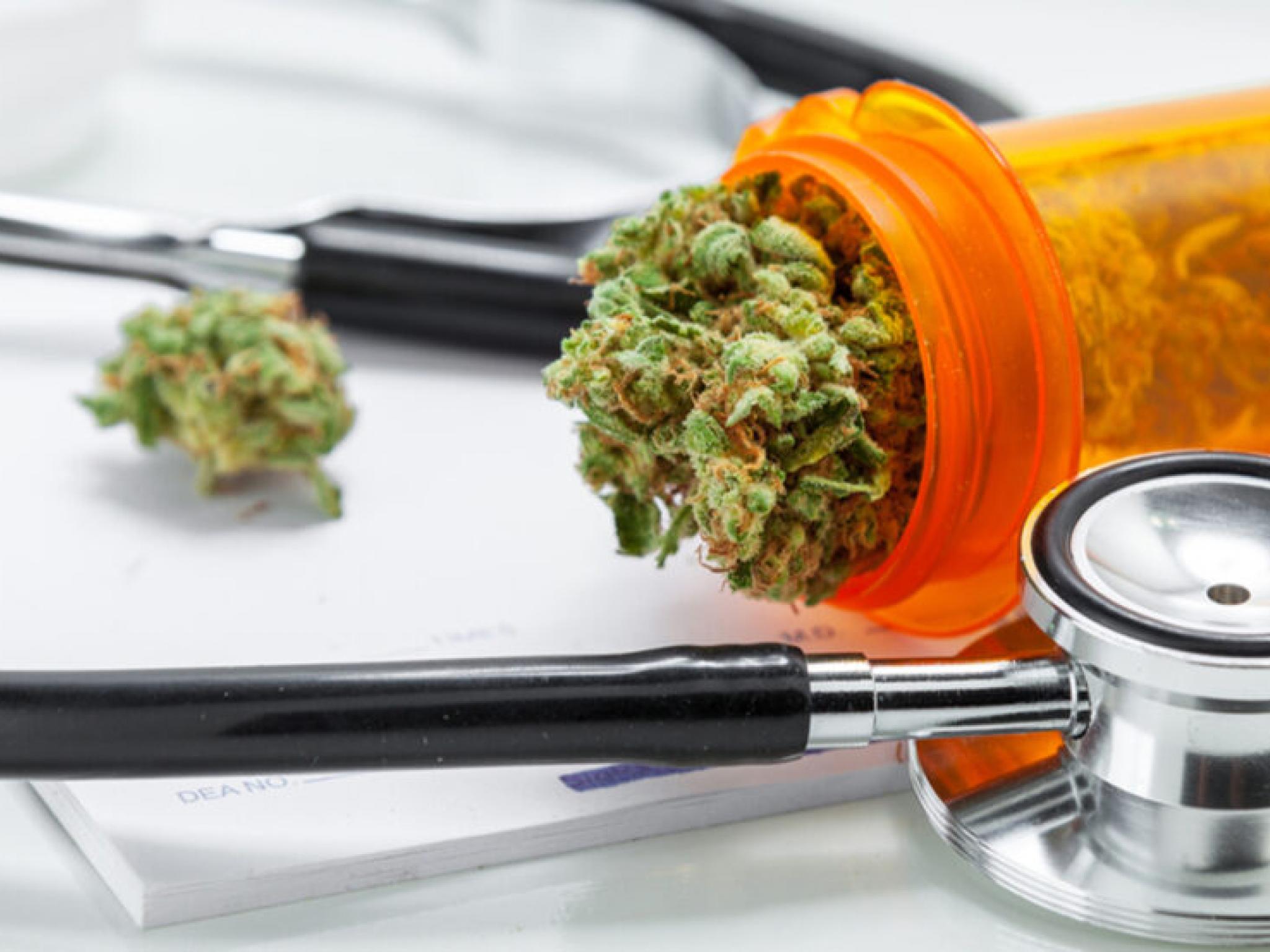 독일 의사 70%, 건강보험 적용 의료용 대마 처방 가능... 이탈리아·일본 대마 규제 동향
