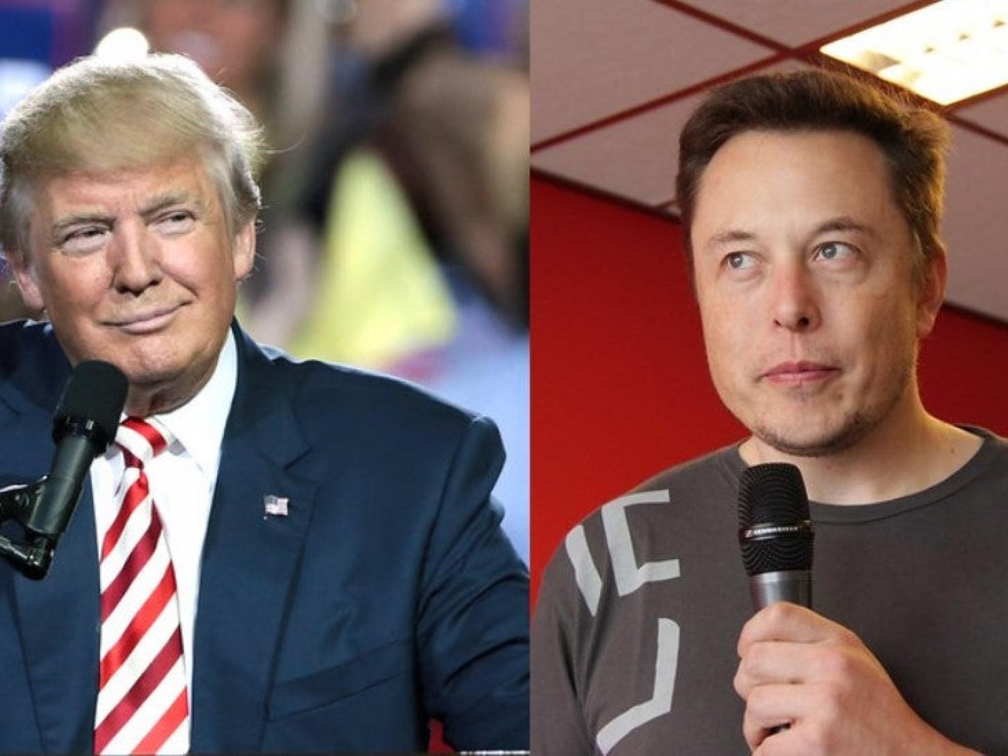 트럼프 vs 머스크: 2024년 대선 앞두고 DJT 주가 X 최신 가치 평가액 추월