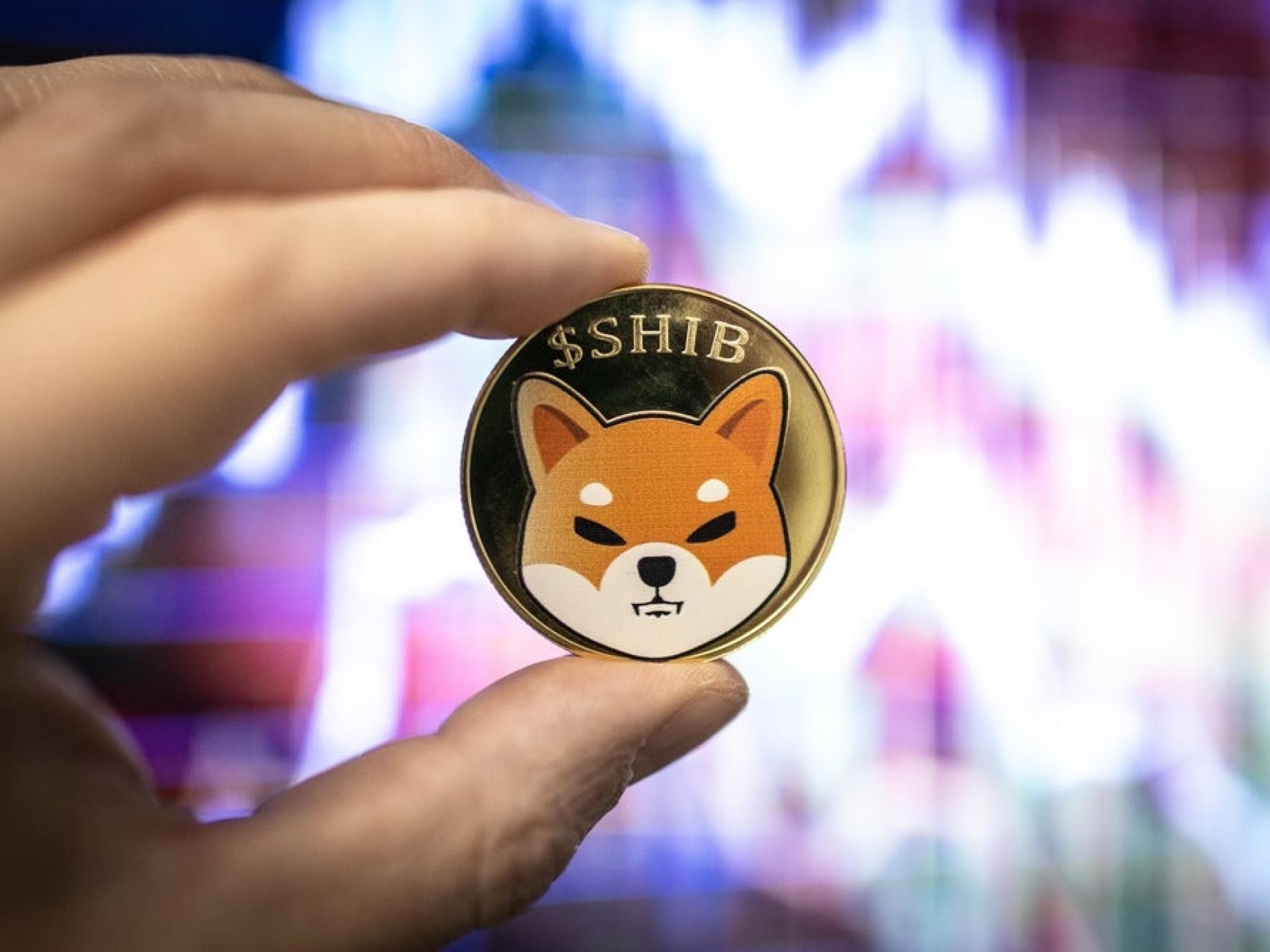 Le développeur principal du Shiba Inu, Shytoshi Kusama, propose S.H.I.B en réponse à l’appel d’Elon Musk pour de nouvelles recommandations de rôles dans l’administration Trump2 min de lecture