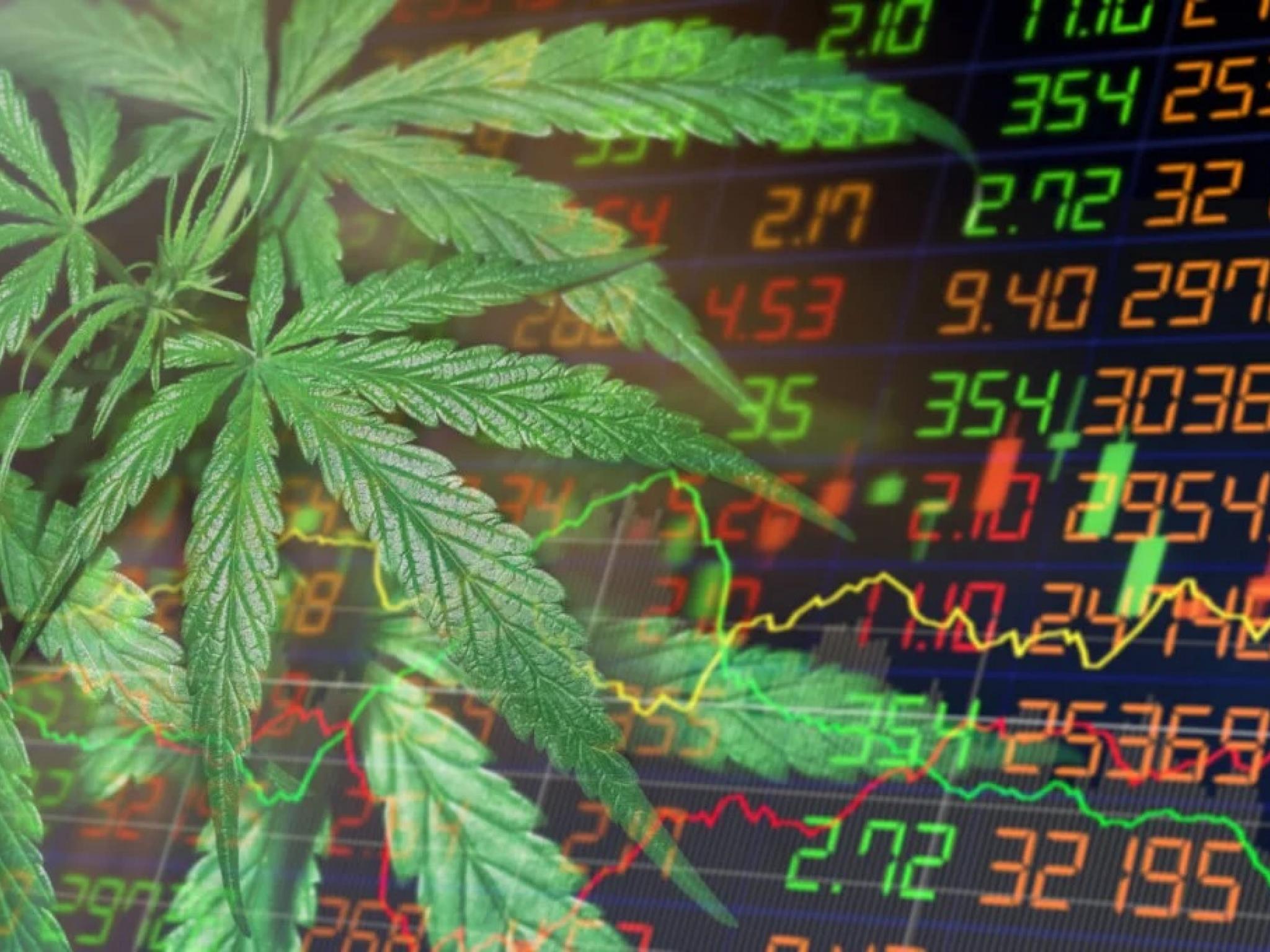  schwazze-records-8-revenue-growth-in-q4-2023-amid-competitive-cannabis-retail-landscape-corrected 