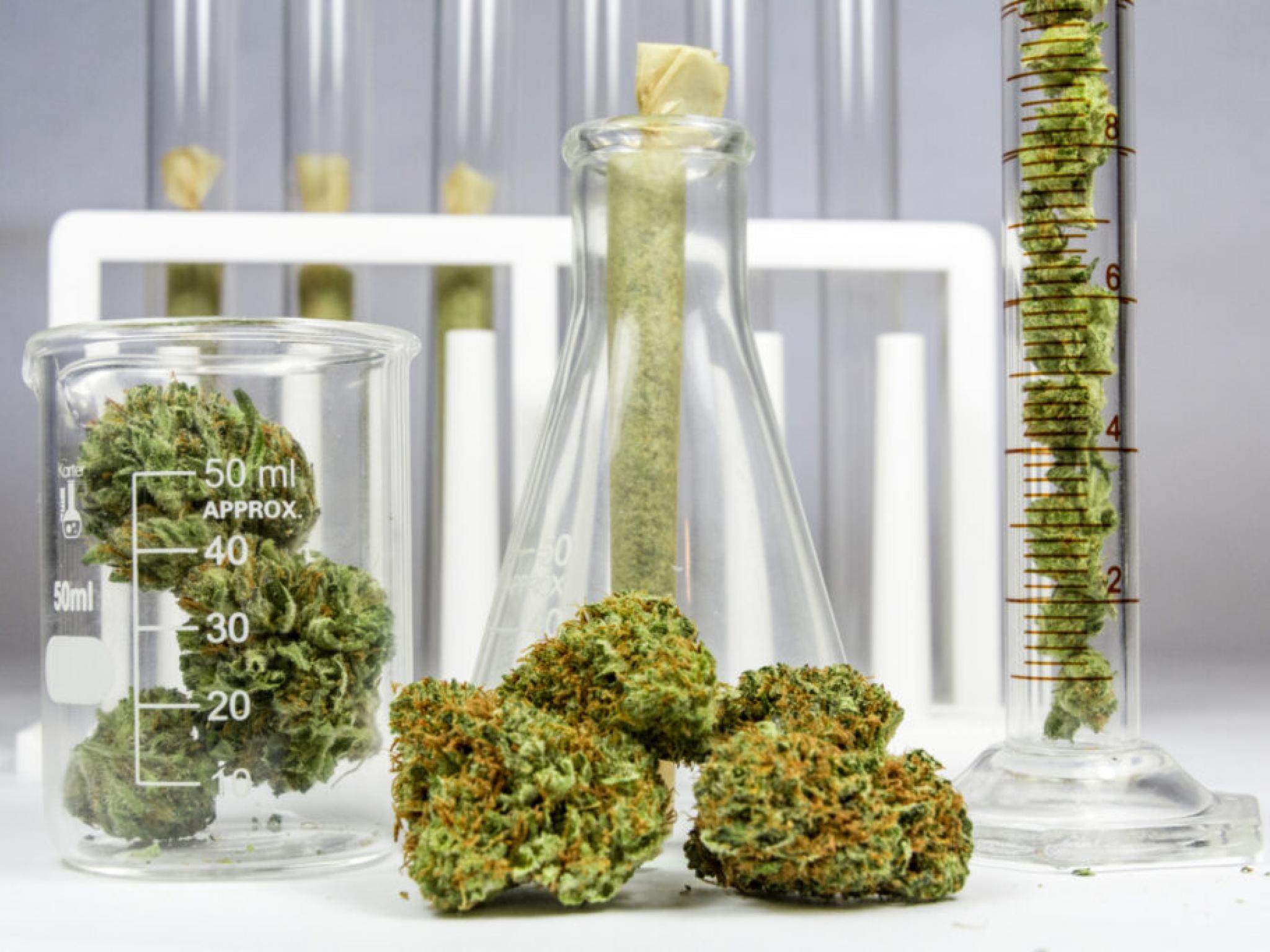 Sundial Growers Announces Premium Cannabis Brand Top Leaf