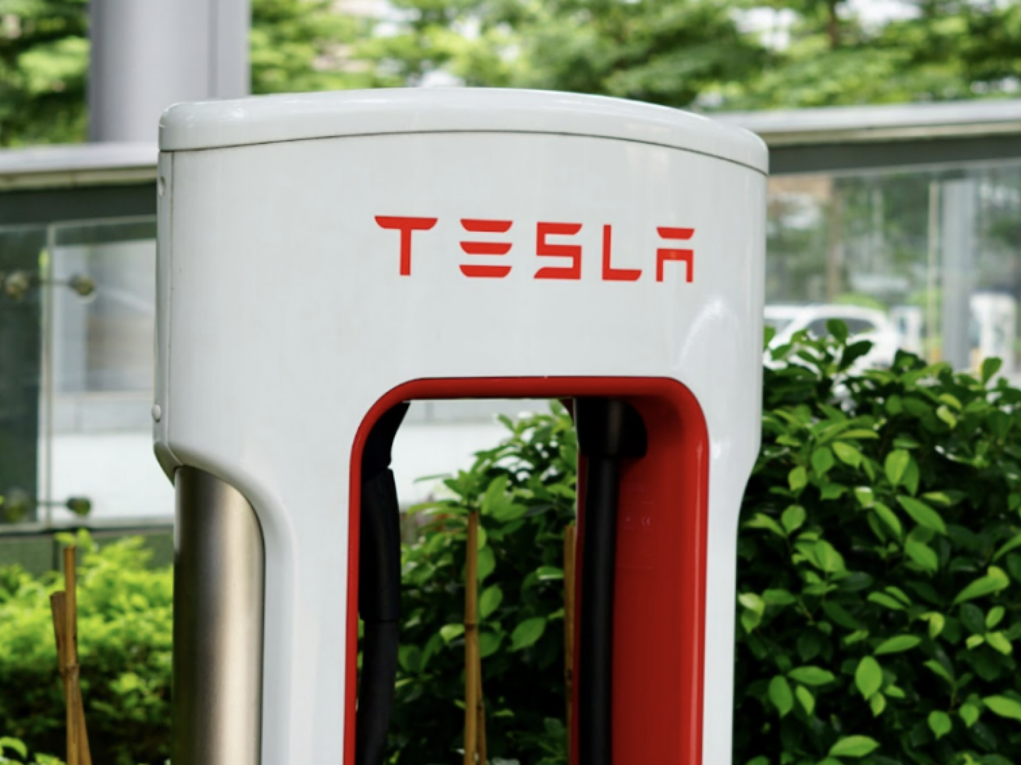  tesla-drops-after-missed-earnings-why-is-cathie-wood-gobbling-up-shares 