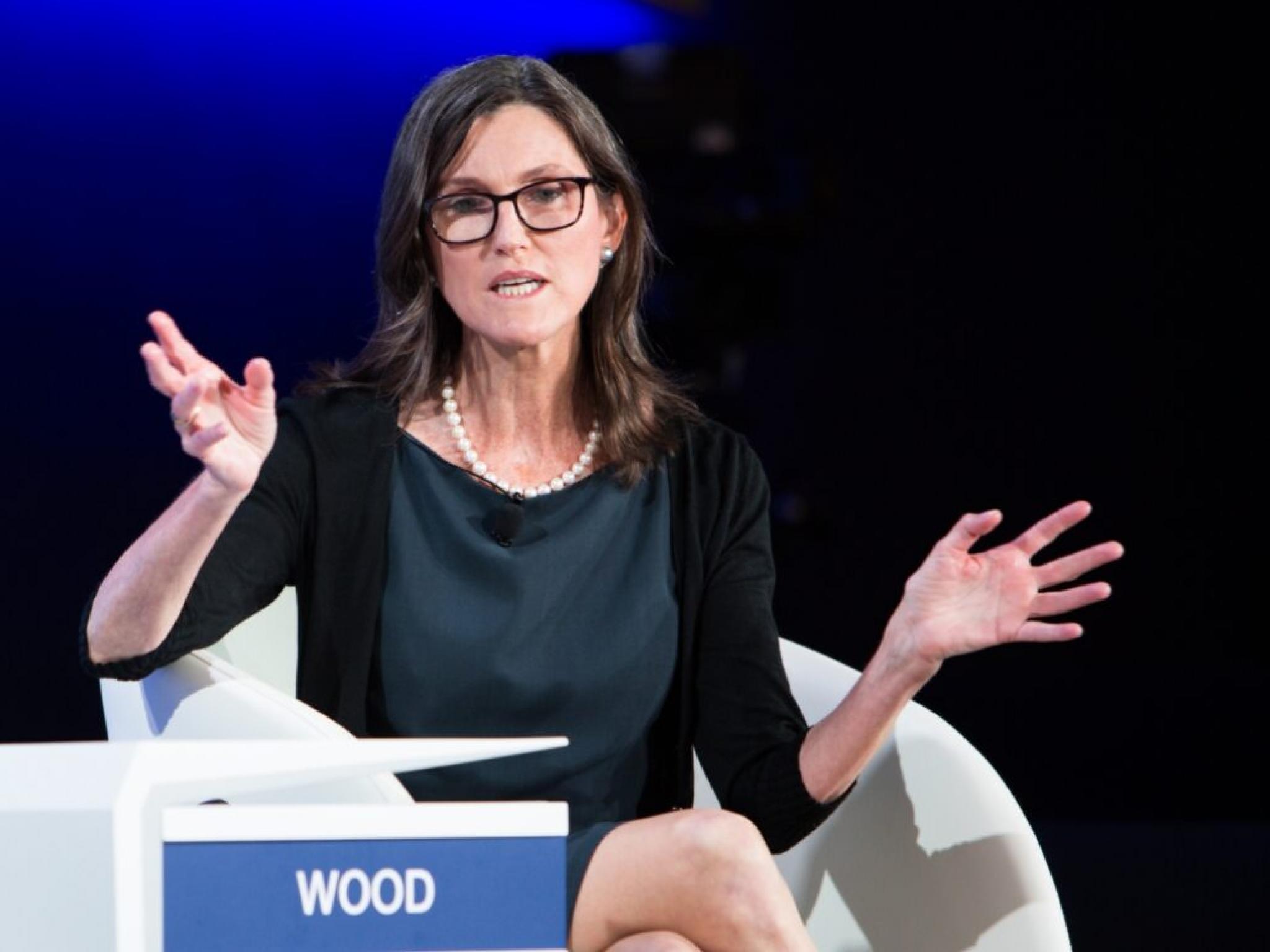  cathie-woods-ark-continues-tesla-stock-buying-spree-acquires-over-14m-worth-of-shares-amid-dip 