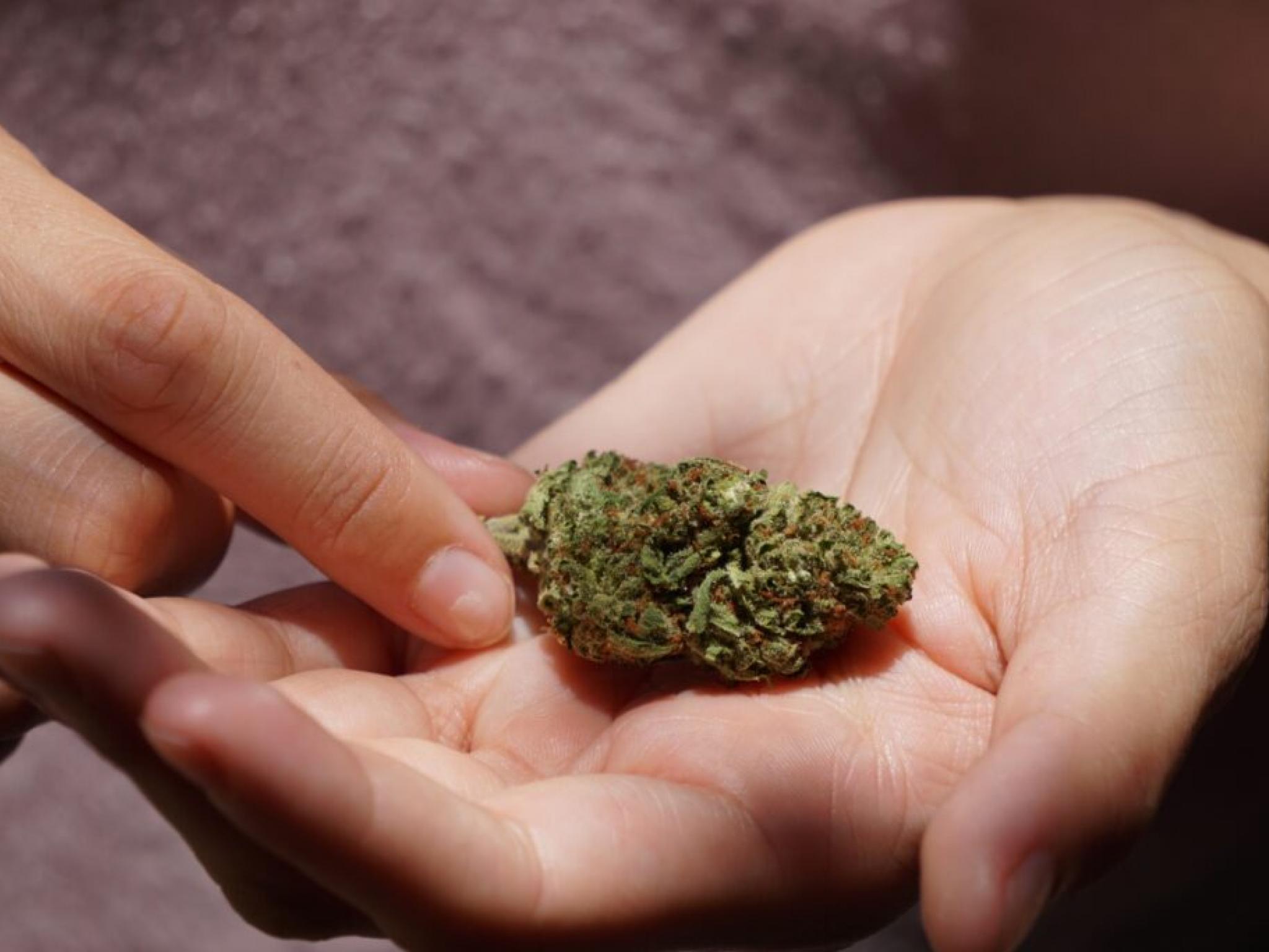  canadian-cannabis-co-cronos-explores-untapped-potential-in-australias-marijuana-industry 