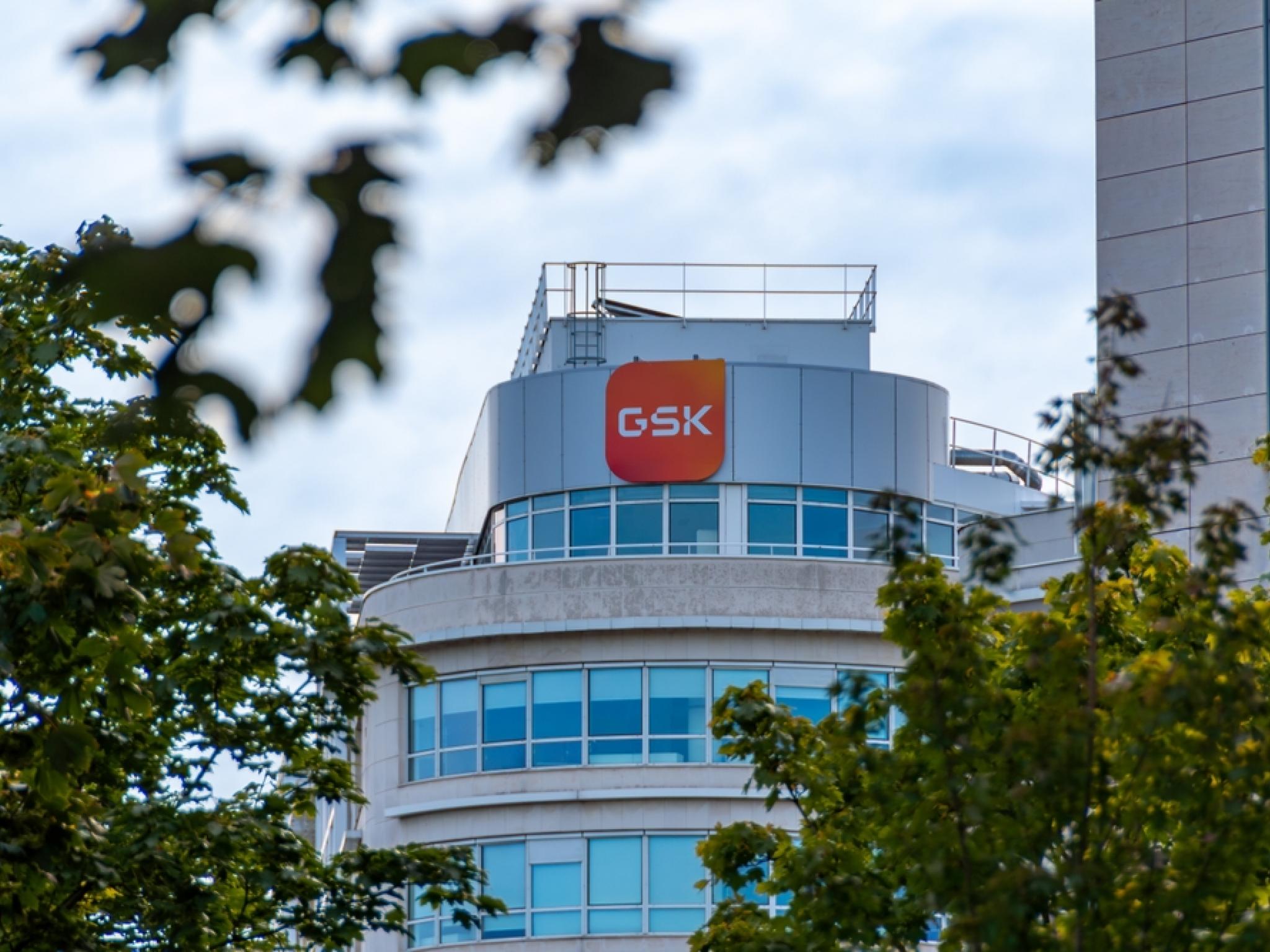 GSK, 중국서 비강 질환 치료제 `누칼라` 승인 획득
