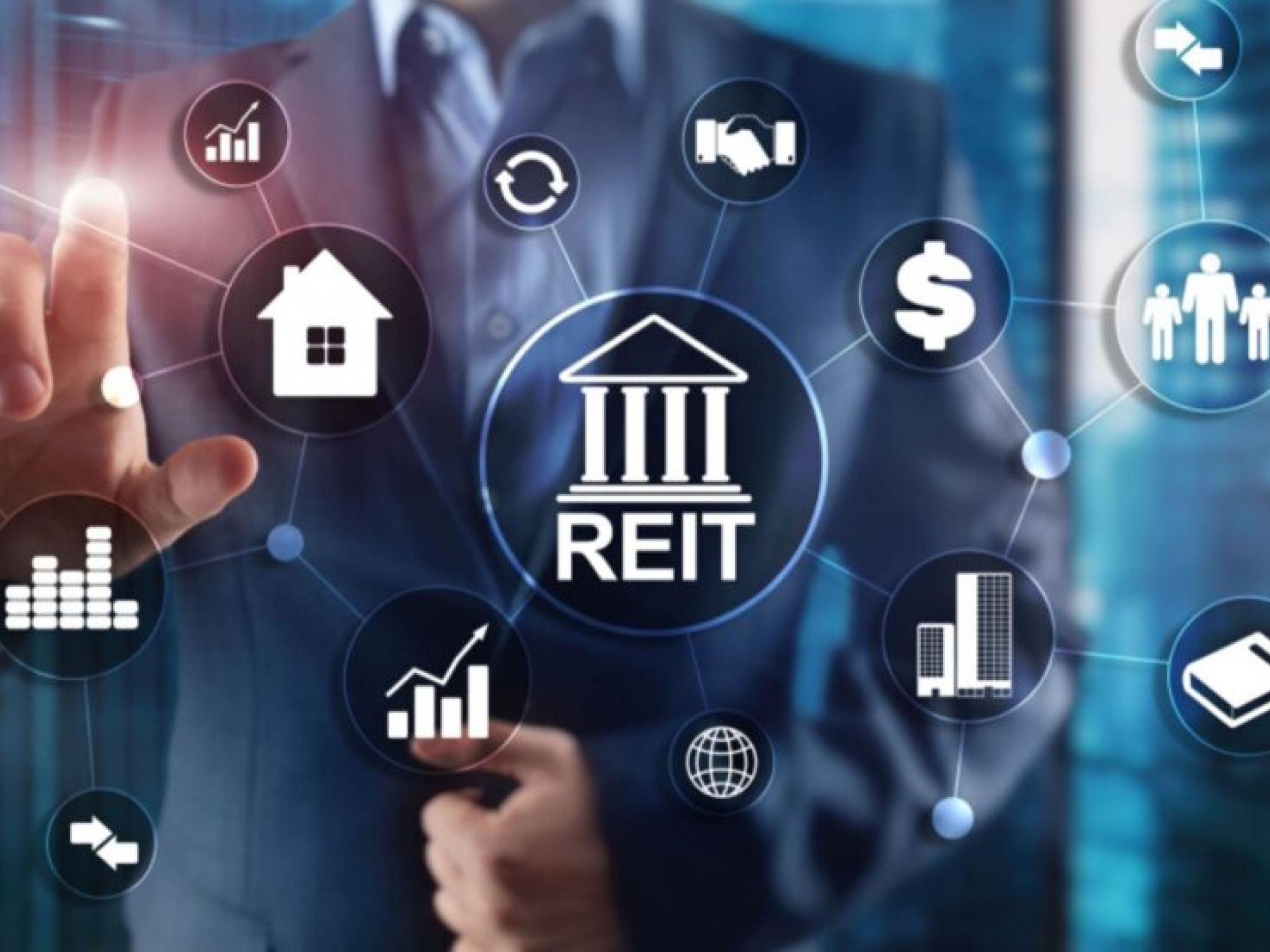 리츠 시장 강자와 약자: 2025년 1월 트렌드로 본 업종별 실적