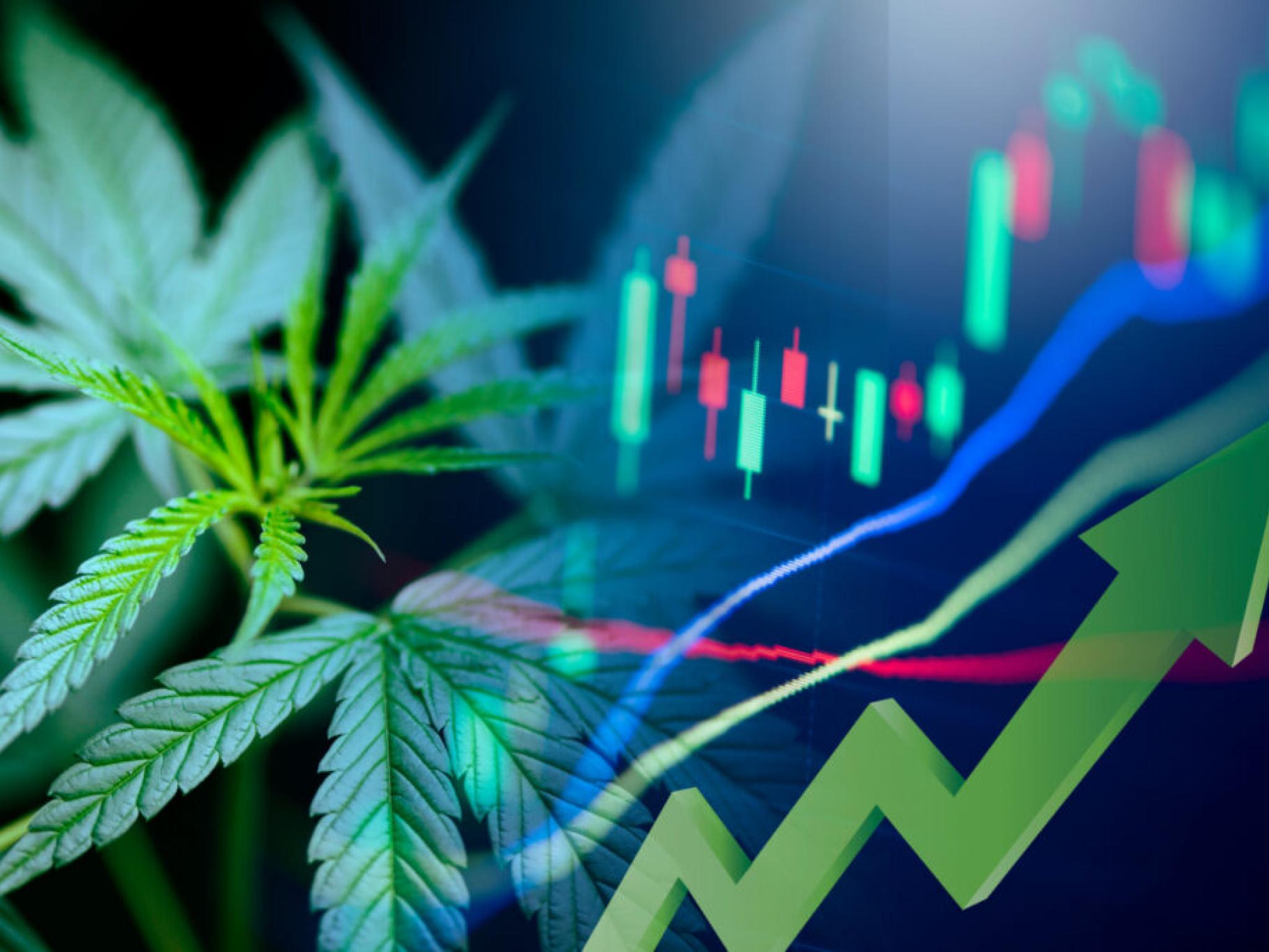  cannabis-stocks-cronos-trulieve-green-thumb-verano-trading-up-after-earnings-a-full-recap 