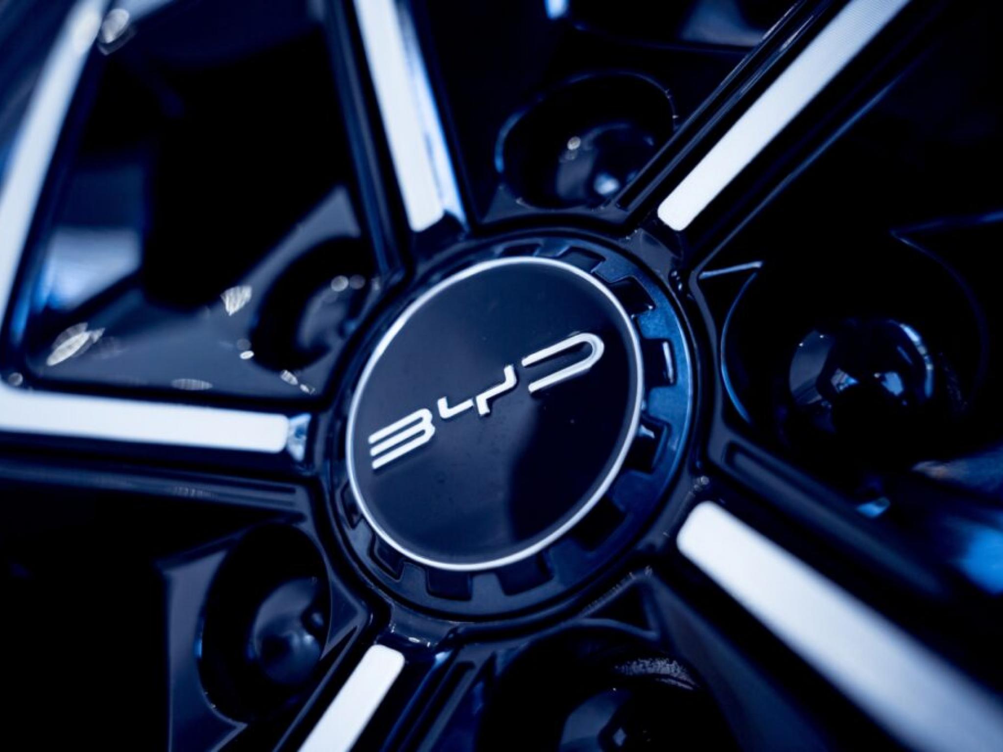 BYD, 글로벌 시장 공략 위해 5.64억달러 대규모 증자 단행