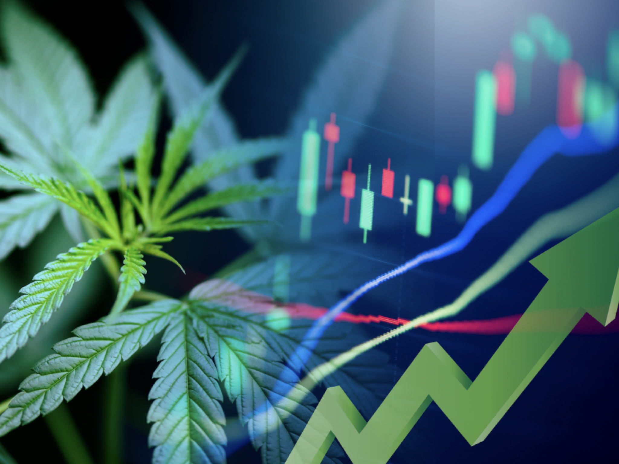  why-cannabis-focused-biopharma-co-avicanna-traded-up-26-today 