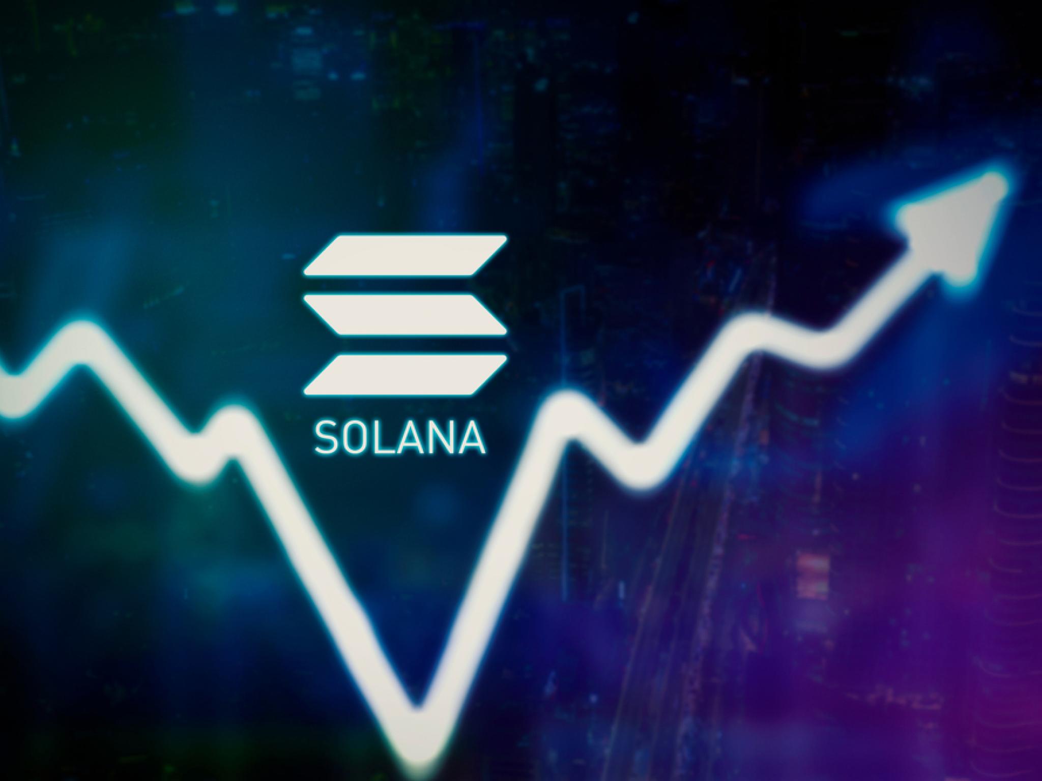 솔라나, 캐시 우드의 아크인베스트 SOL 스테이킹 ETF 매수에 비트코인·이더리움과 디커플링