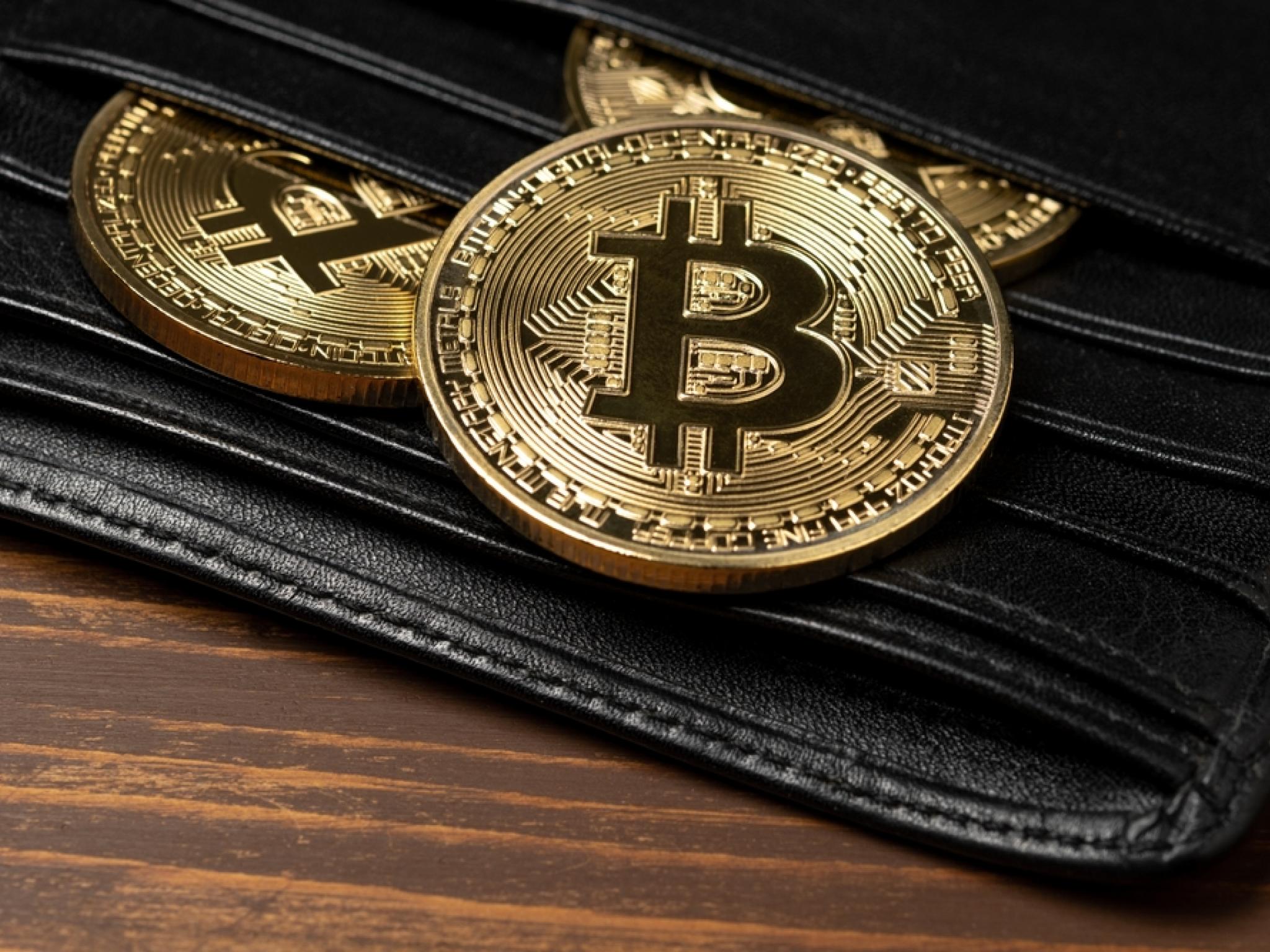 `비트코인 사인맨` 8년전 BTC 열풍 상징됐는데...현 시장에도 `매수 신호` 유효한가
