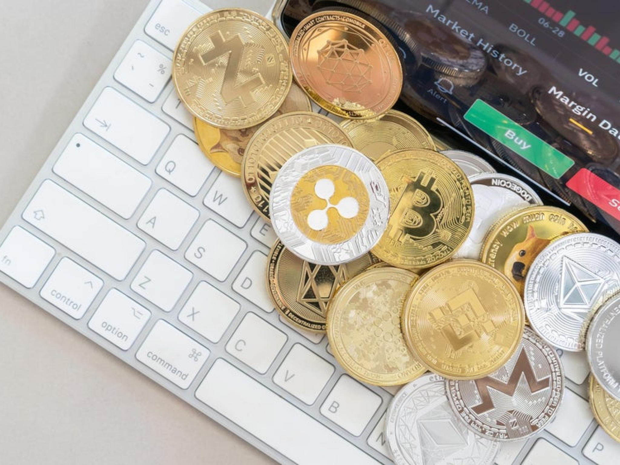 비트코인·이더리움·XRP·도지코인 급등세...트레이더 `9만달러가 매수 적기`