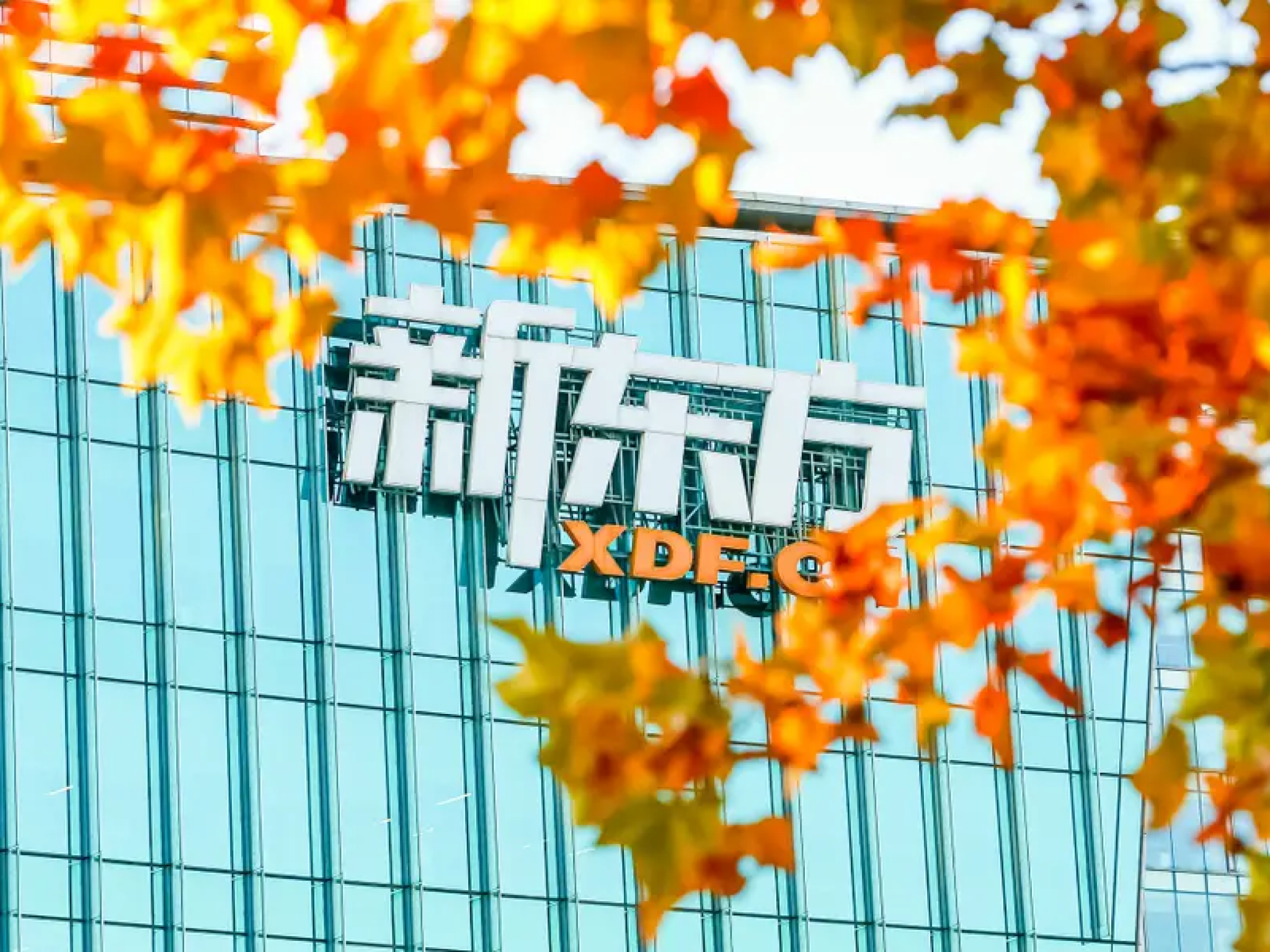 美中 갈등에 뉴오리엔탈 유학사업 타격...주가 영향 주목