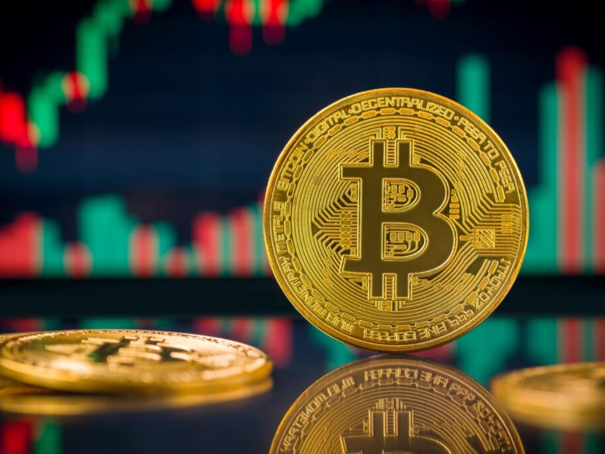비트코인·이더리움·도지코인 하락세...윌리 우 `모든 하락은 매수 기회, BTC 사상 최고가 노린다`