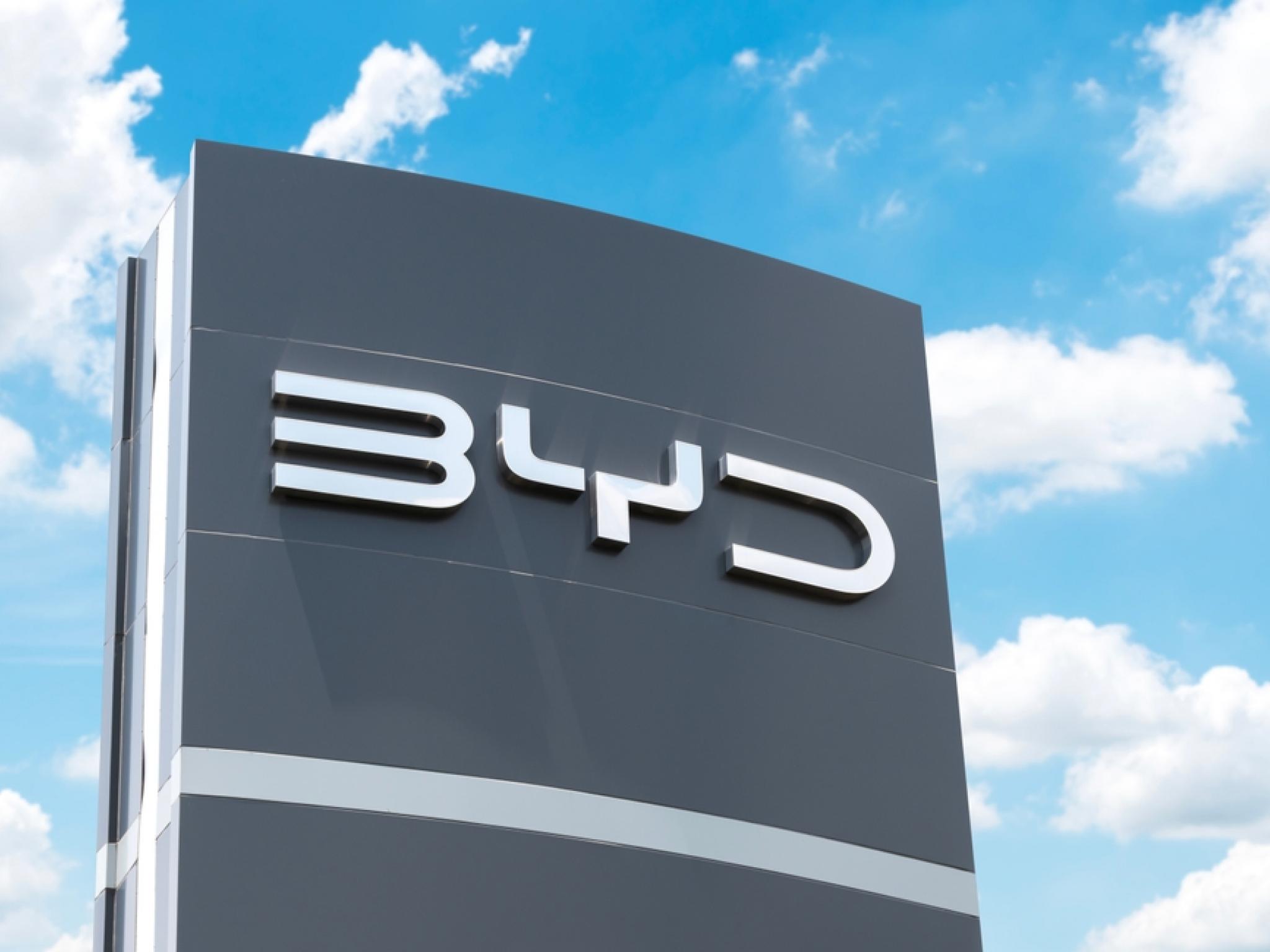 BYD, 헝가리 공장 윤곽 드러내...연간 20만대 전기차 생산 체제 구축
