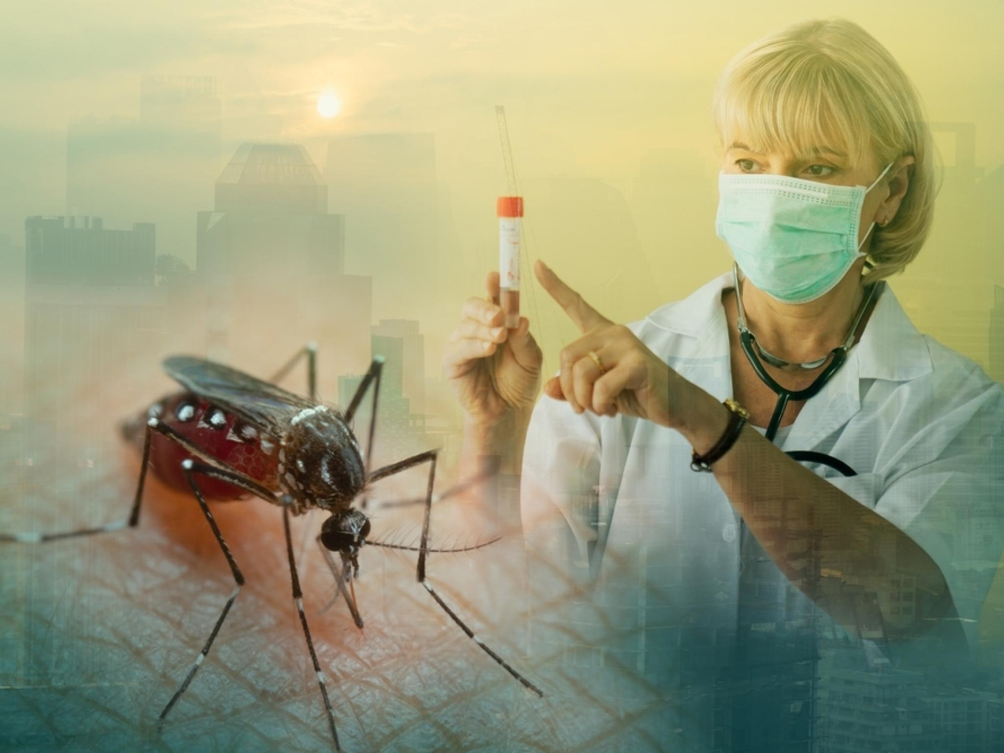 FDA·CDC, 발네바 치쿤구니아 백신 고령자 접종 일시중단 권고...이상반응 우려