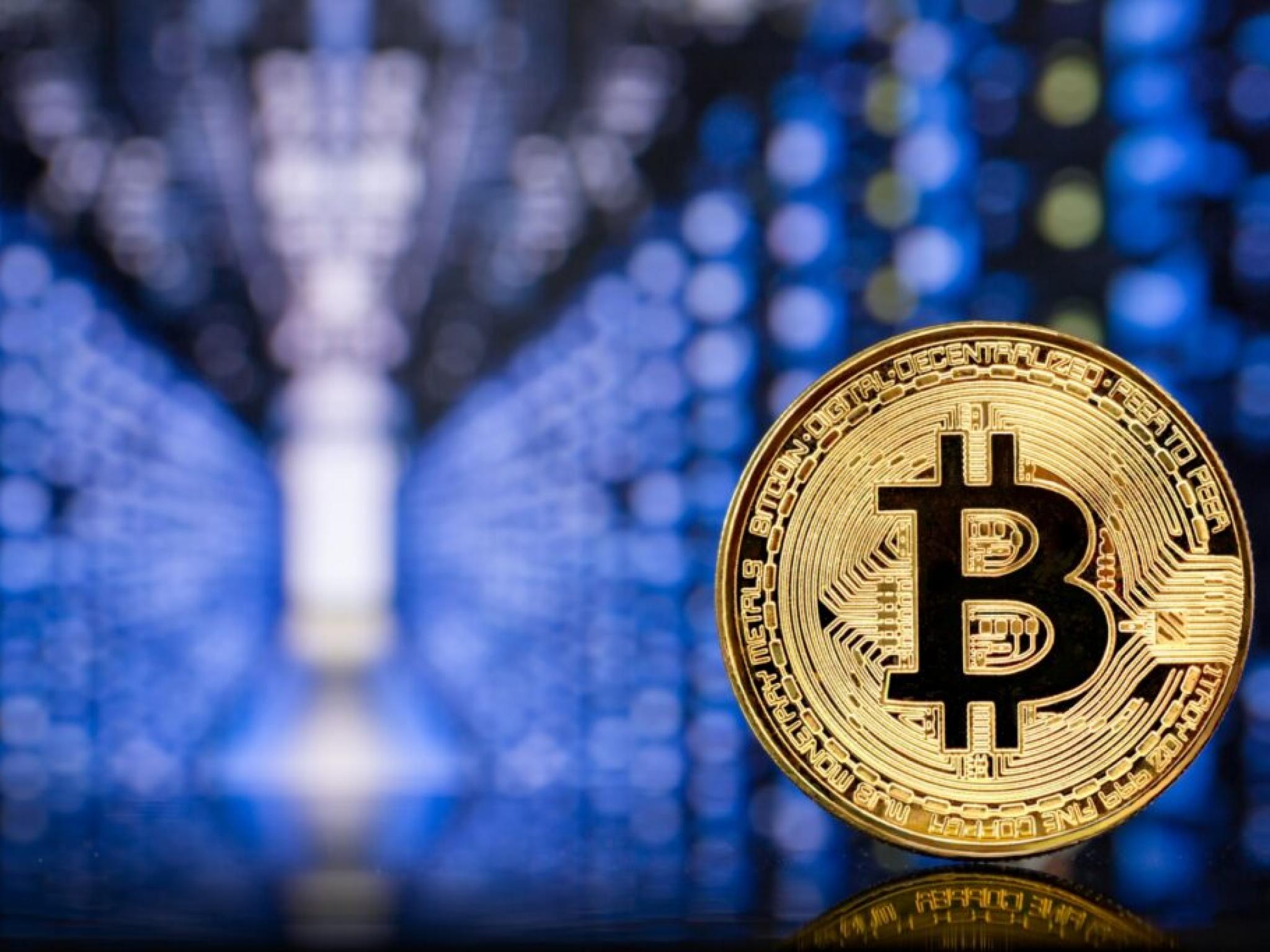 트럼프 미디어 그룹 비트코인 매입 계획 발표에 BTC·이더리움·XRP·도지코인 상승