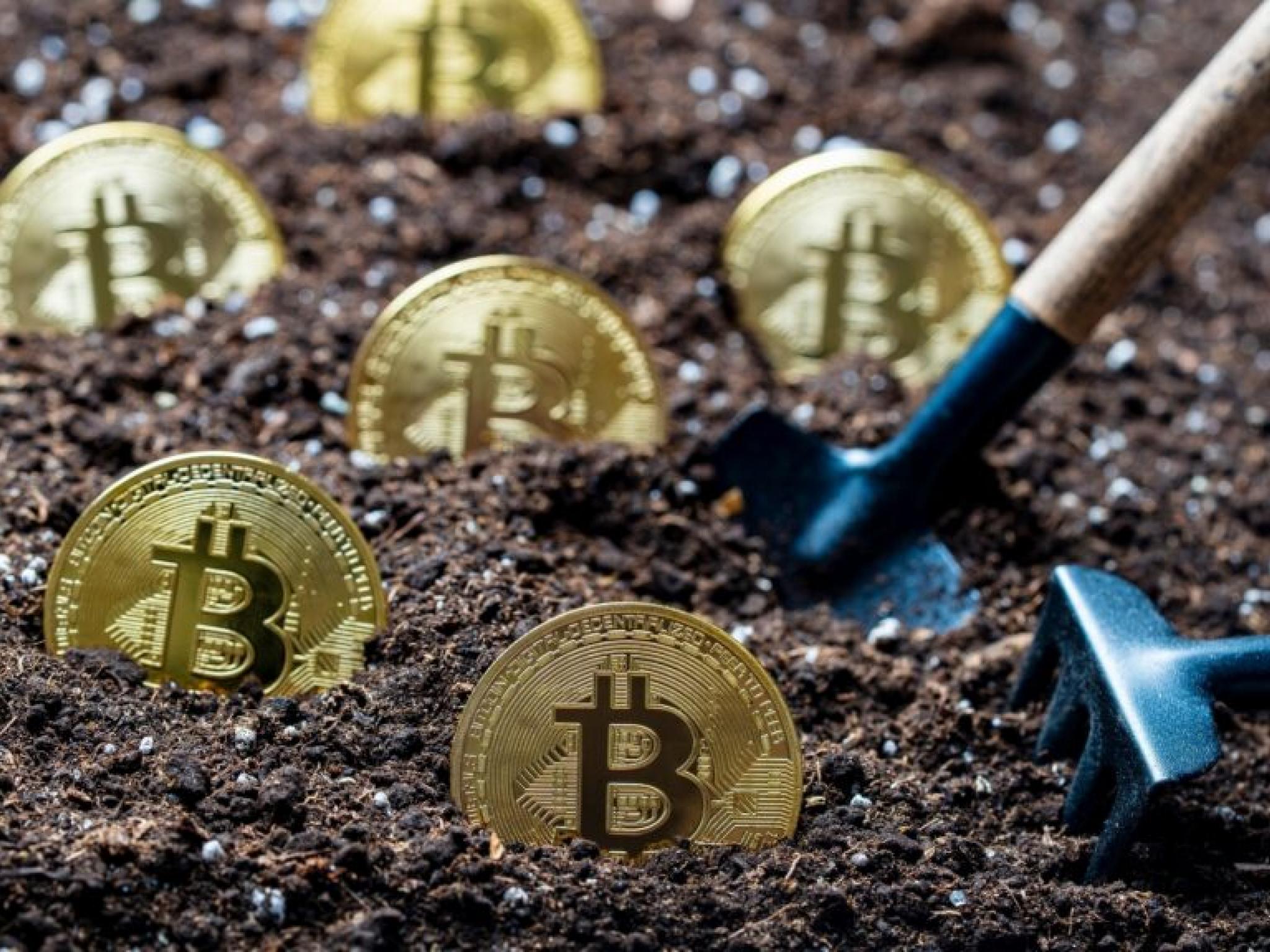 비트코인 ETF, 디지털자산 붐 타고 탄력... 그레이스케일 