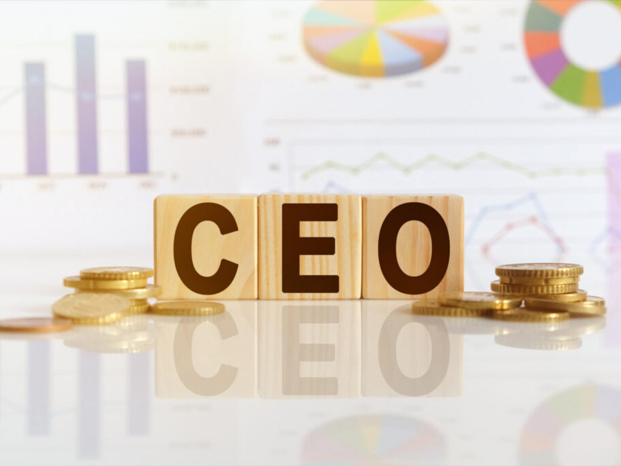 2024년 美 최고 연봉 CEO 순위...일론 머스크·워런 버핏은 어디에