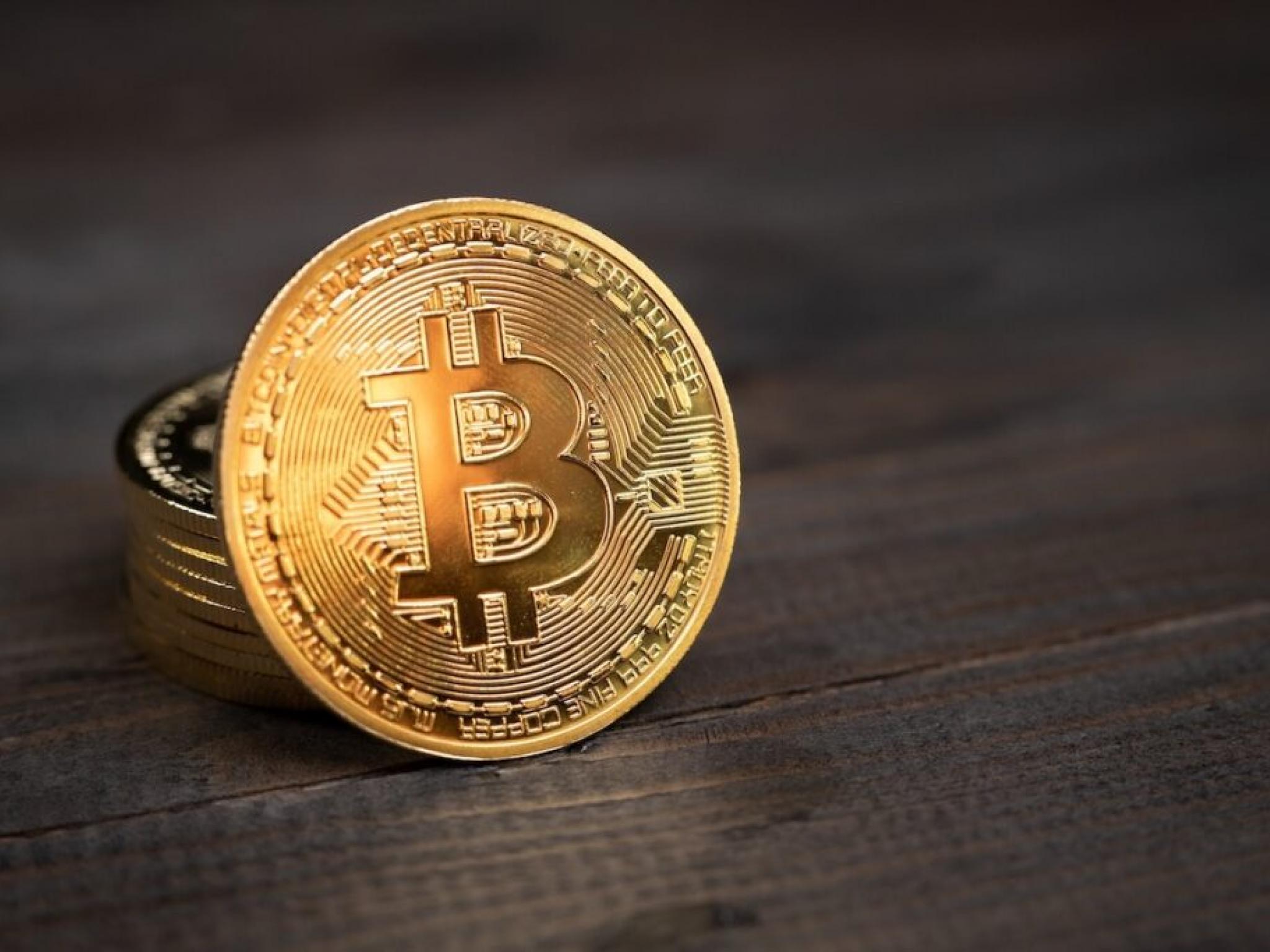 기업들 비트코인 자금고 선호... 이더리움·솔라나·XRP는 관심 밖