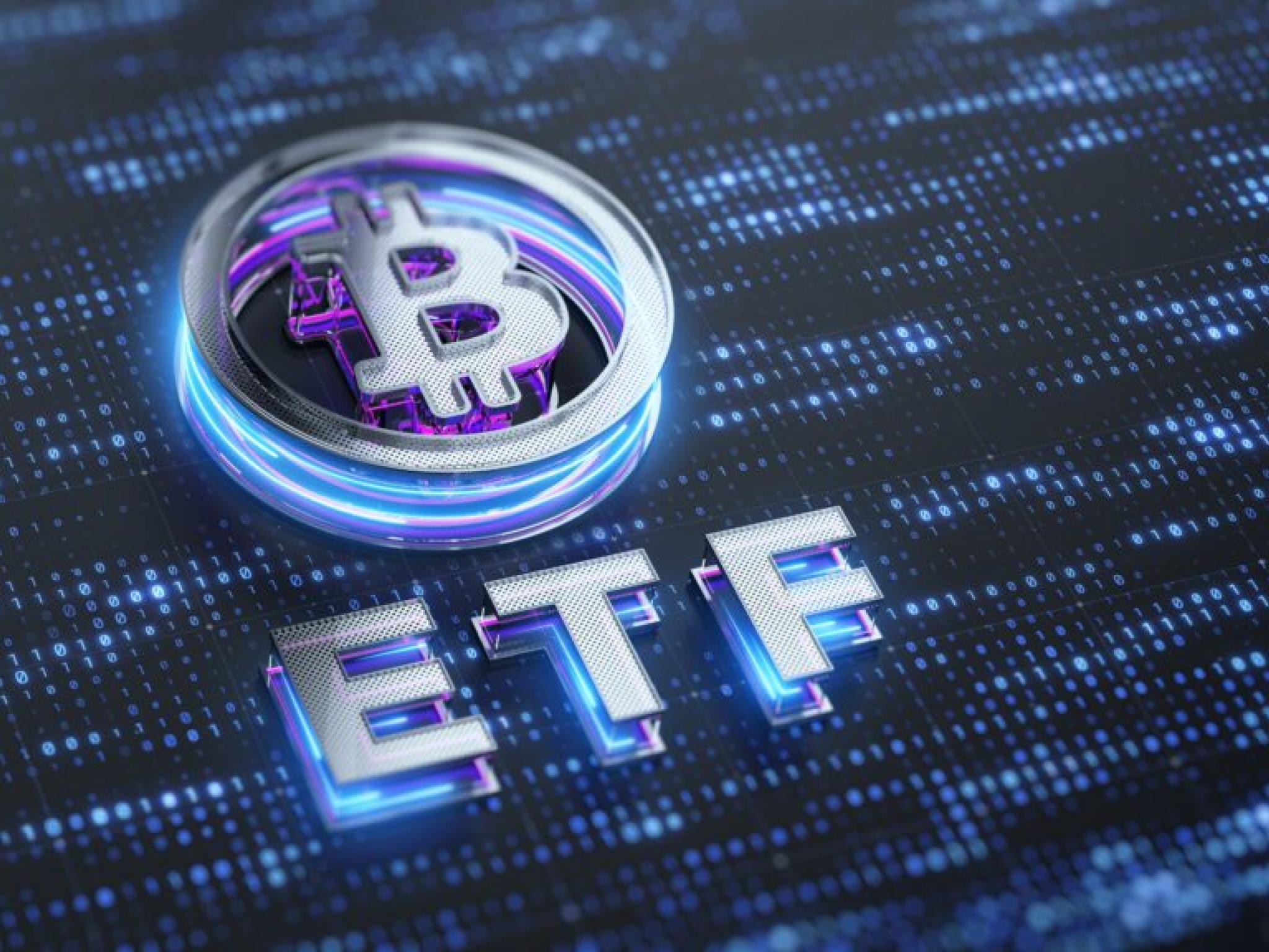 비트코인 ETF 전문가들 `미국의 BTC 매입은 역사적 전환점 될 것`