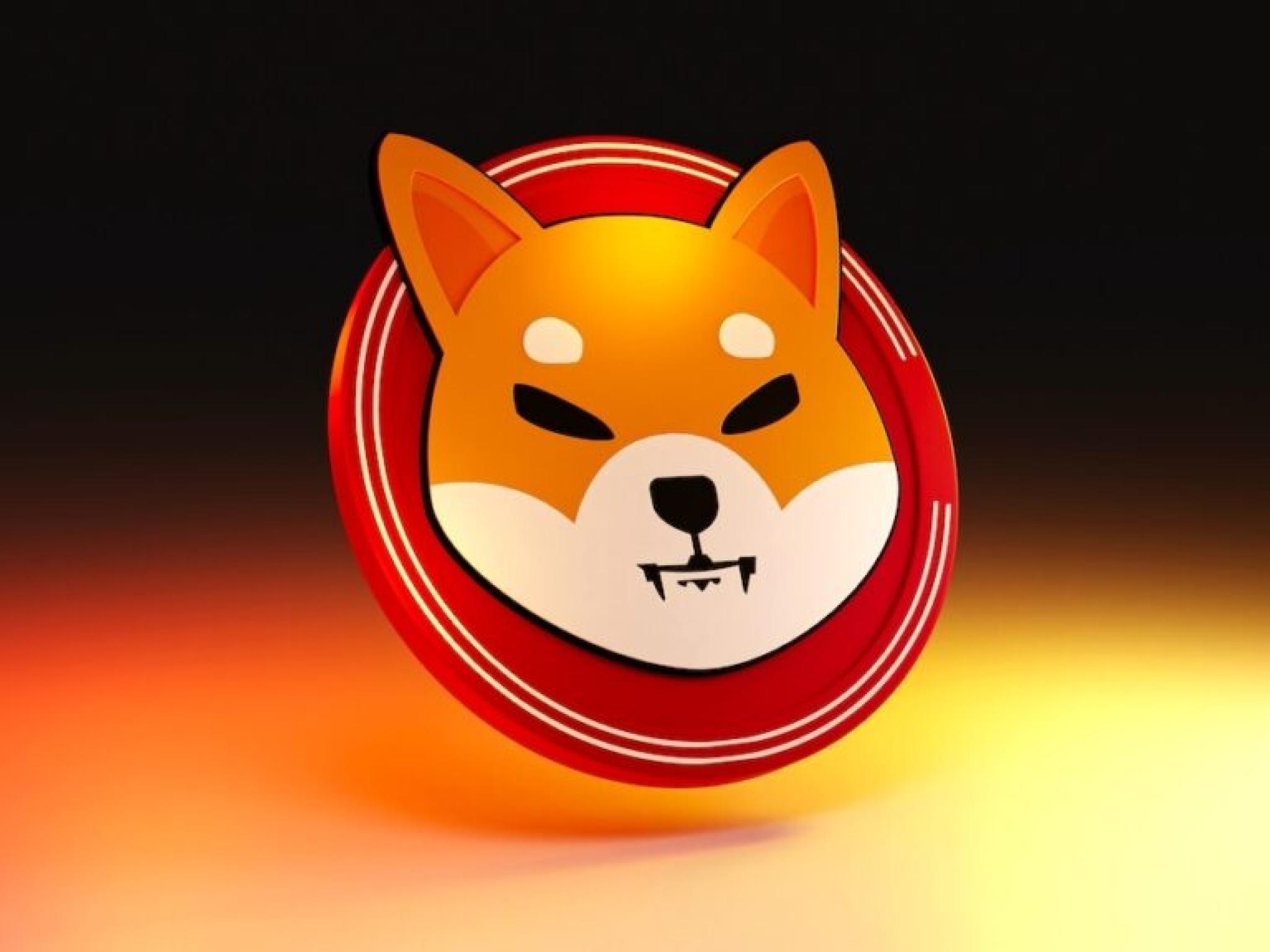 Le Shiba Inu glisse de 4,5 % cette semaine : pourquoi cette baisse ?2 min de lecture