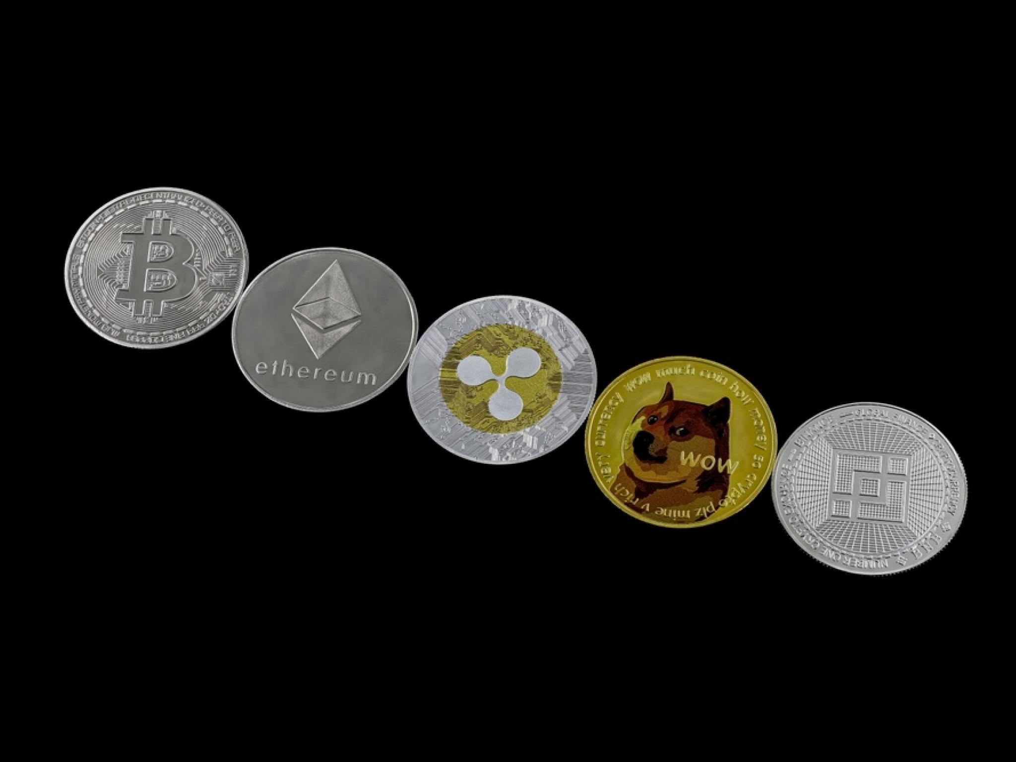 2025년 상반기 암호화폐 수익률...비트코인·파트코인 강세, XRP·이더리움·솔라나는