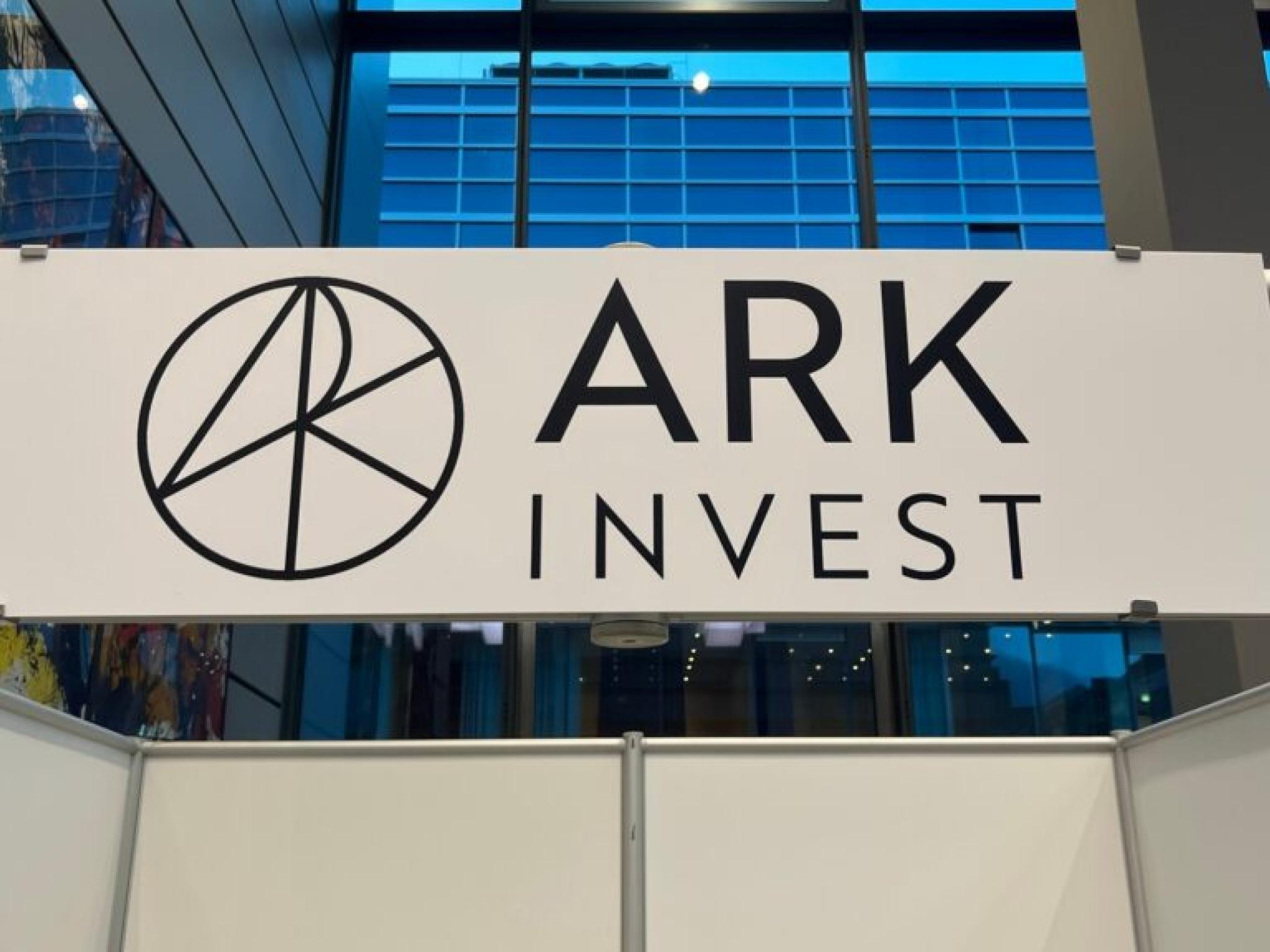 캐시 우드의 아크, 주력 ARKK ETF에 손실제한형 상품 출시...50% 하방보호 제공