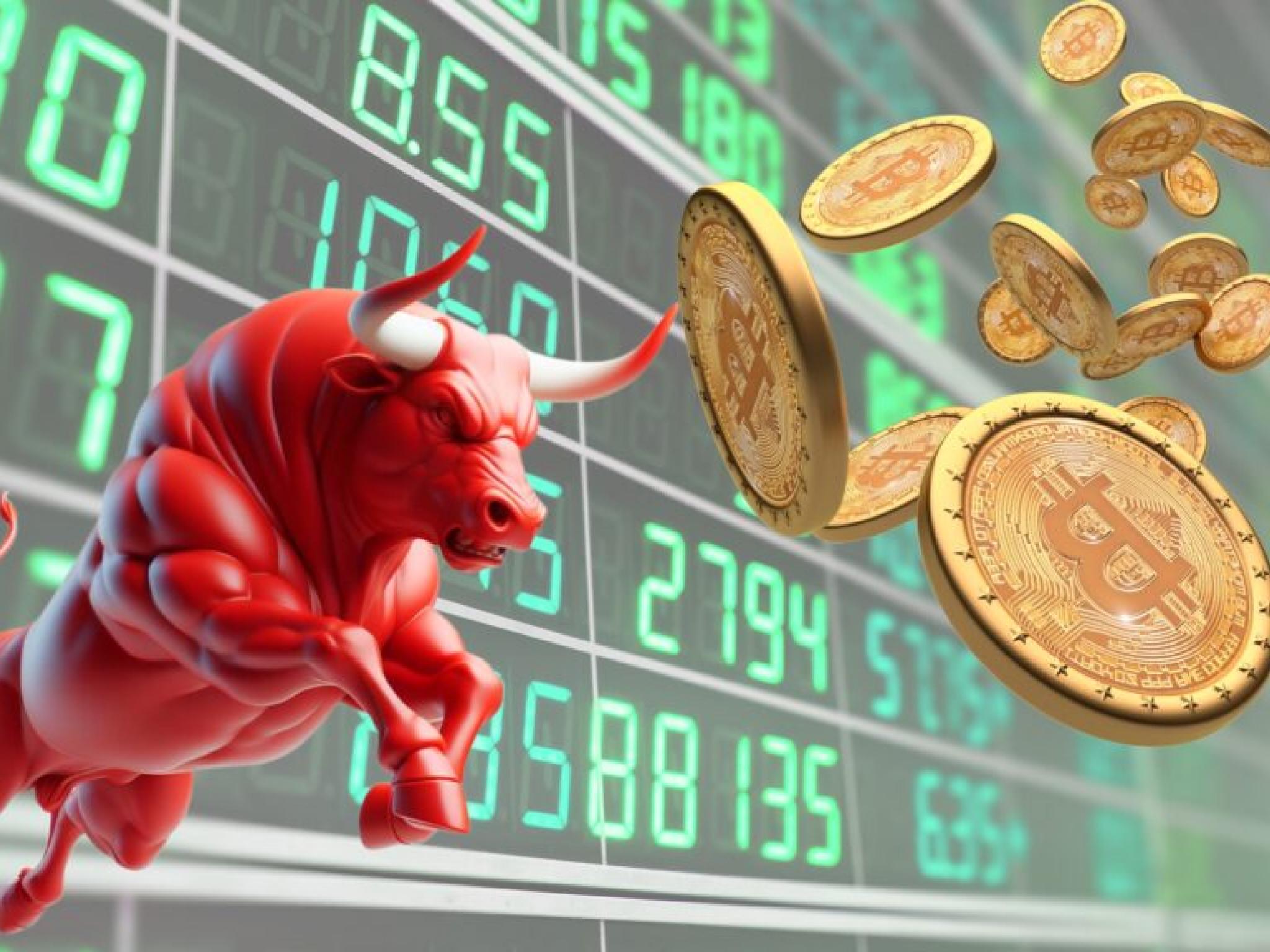 비트코인·이더리움·XRP 보유자들 주목...유명 고래 