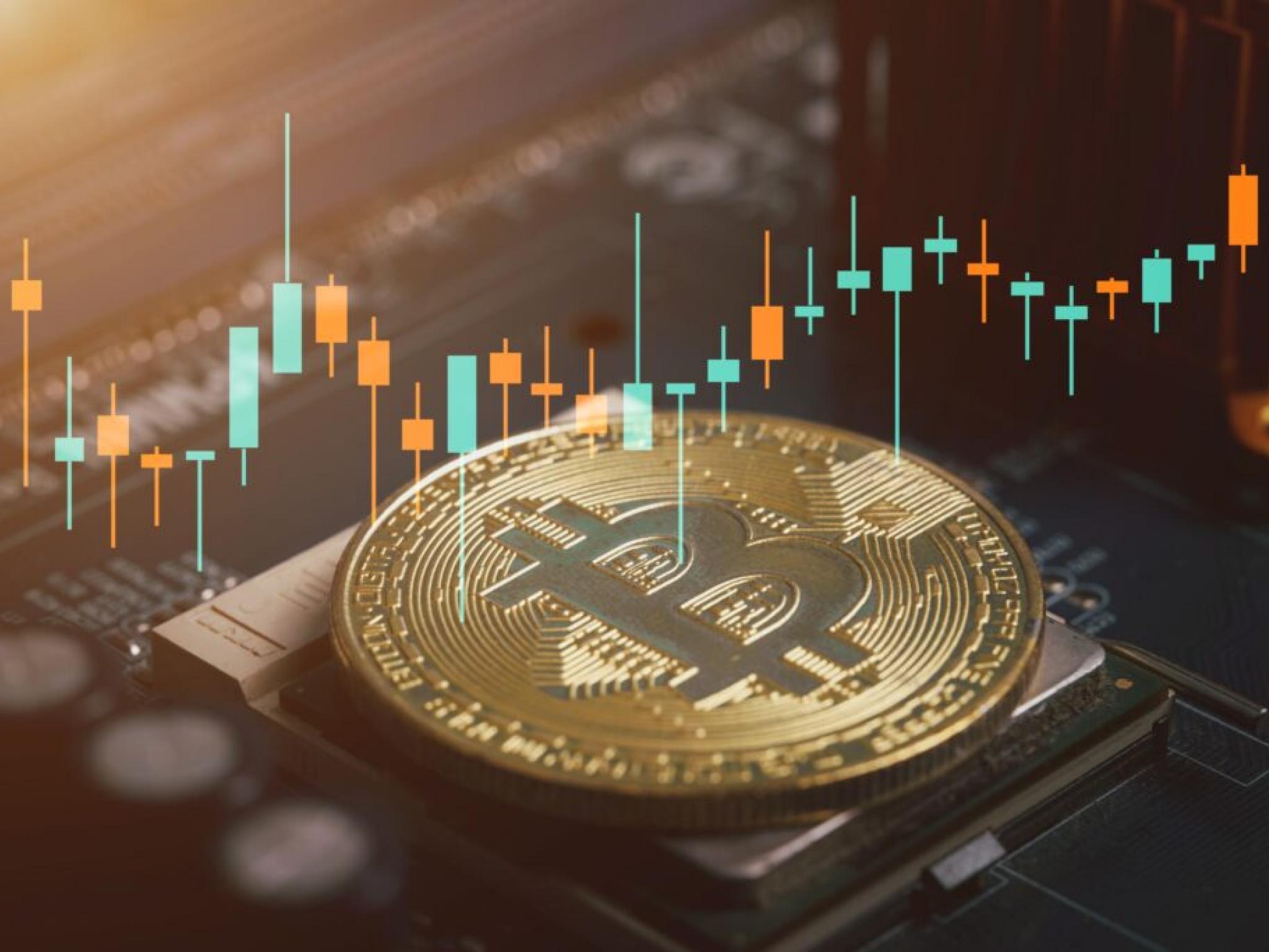 비트코인 11만8000달러 아래서 횡보...이더리움·XRP·도지코인 상승세