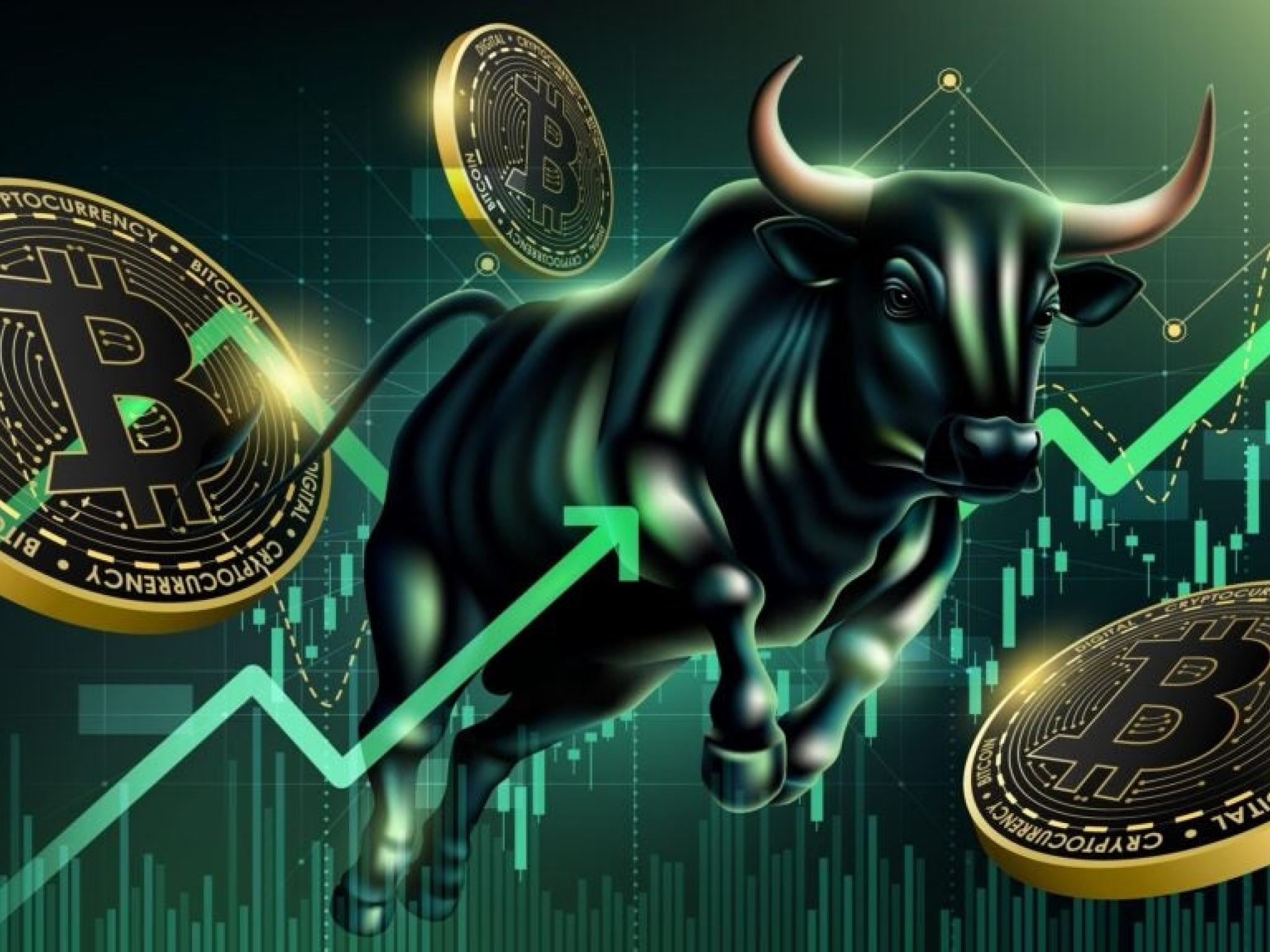 비트코인·이더리움·XRP 견조세... 전문가 `횡보장에 과도한 공포` 지적