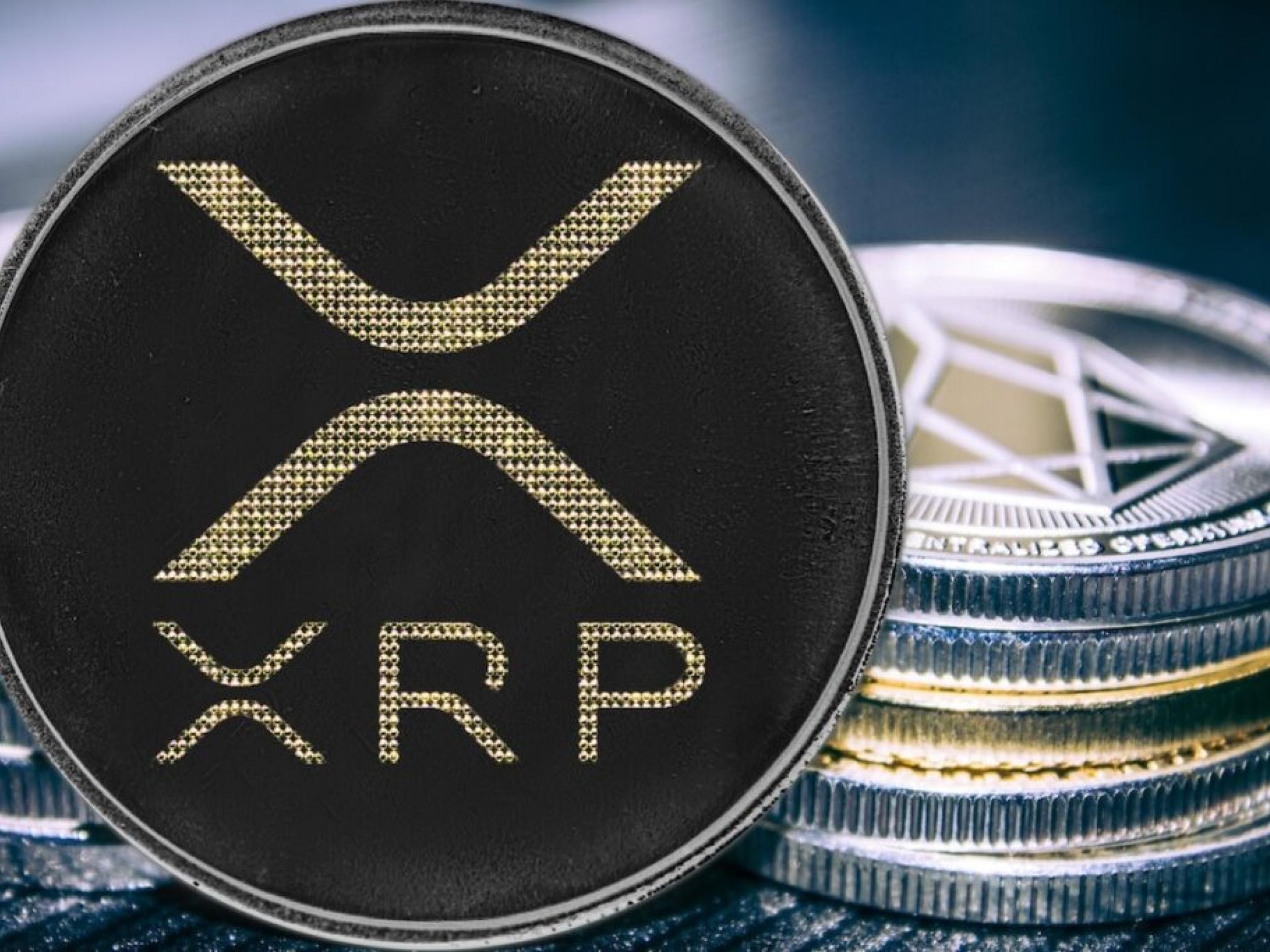 블랙록, 10월까지 XRP·솔라나 현물 ETF 신청할 듯...전문가 전망