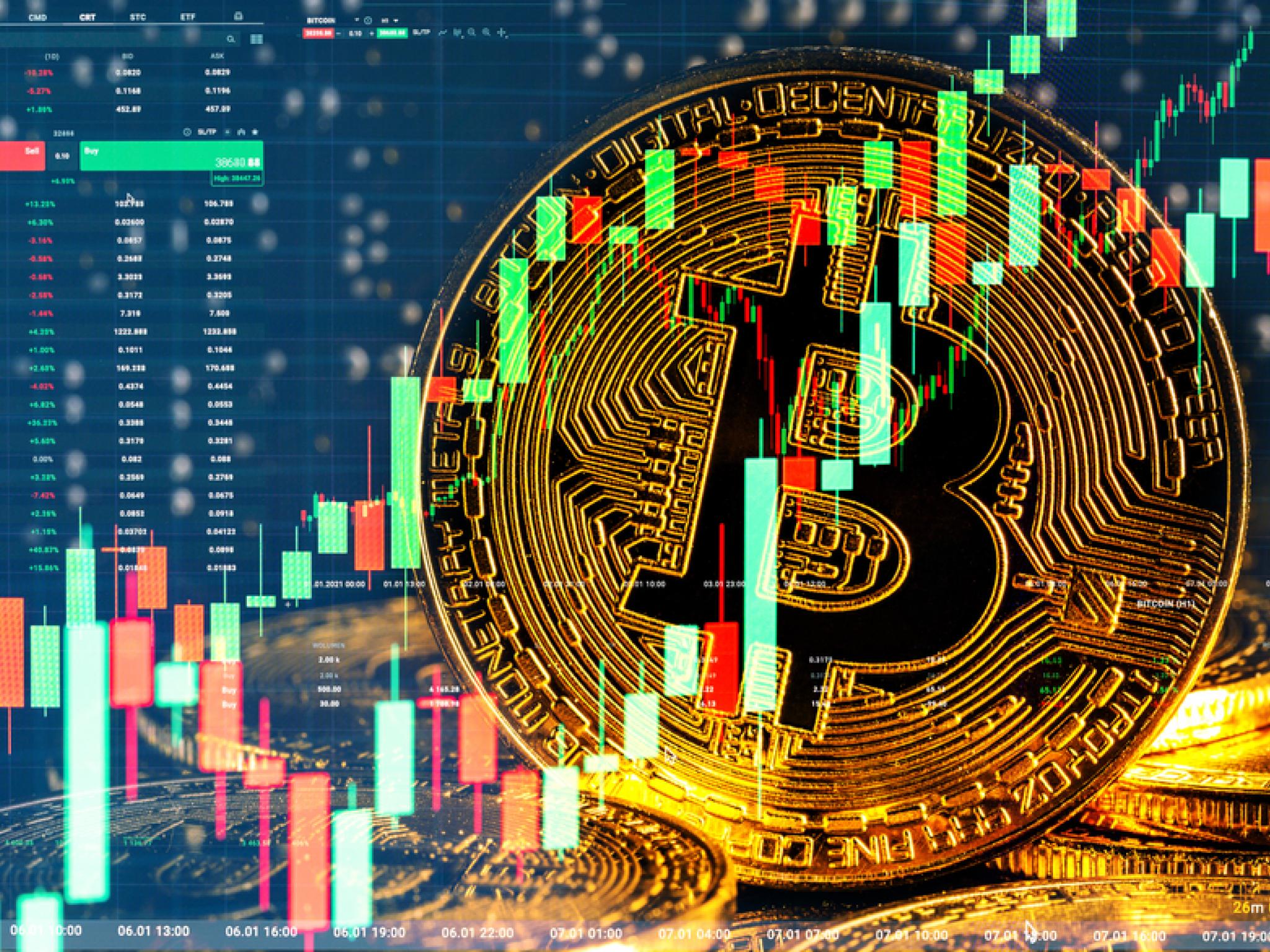 비트코인 11만6000달러선 유지...XRP·도지코인 규제 호재에 급등