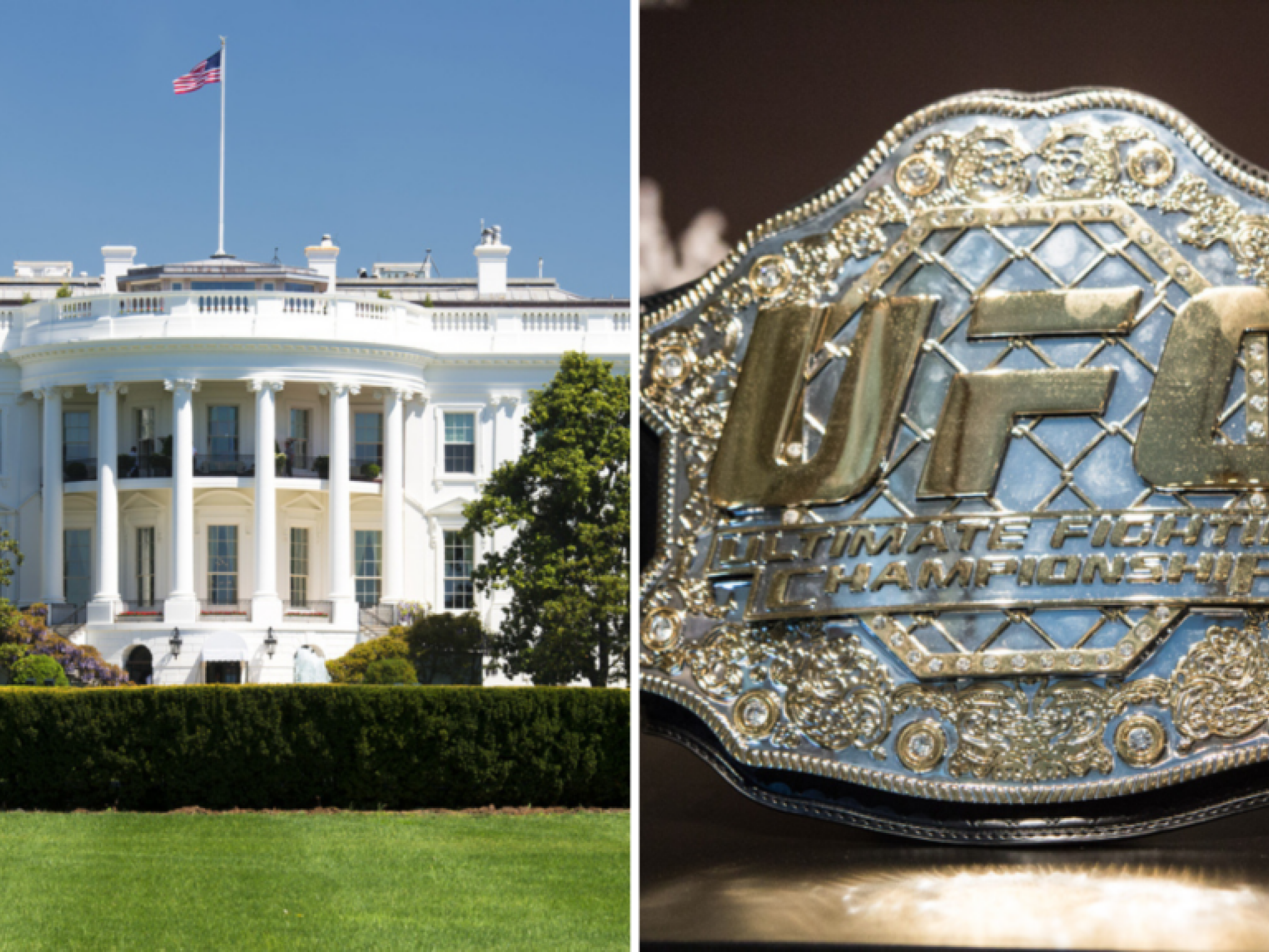 UFC, 백악관서 첫 격투기 대회 개최 확정...트럼프 `독보적 경험` 제공할 것