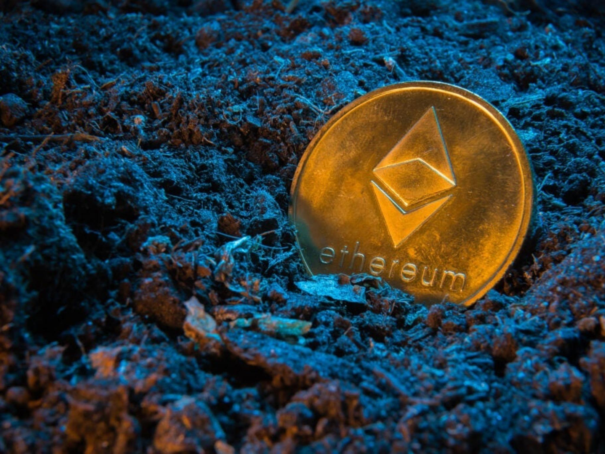 샤프링크, 2분기 매출 감소와 대규모 ETH 자산손상으로 주가 하락