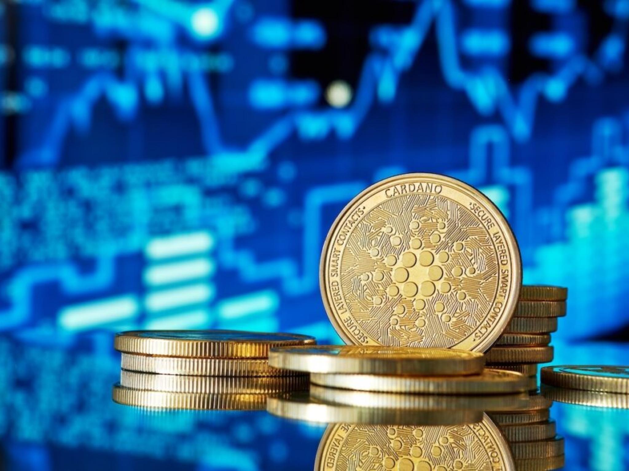 비트코인, 연준 금리인하 기대감에 상승...매트 게이츠 `디지털 펭귄` 매수, XRP `최적 진입시점` 평가 - 주간 암호화폐 동향