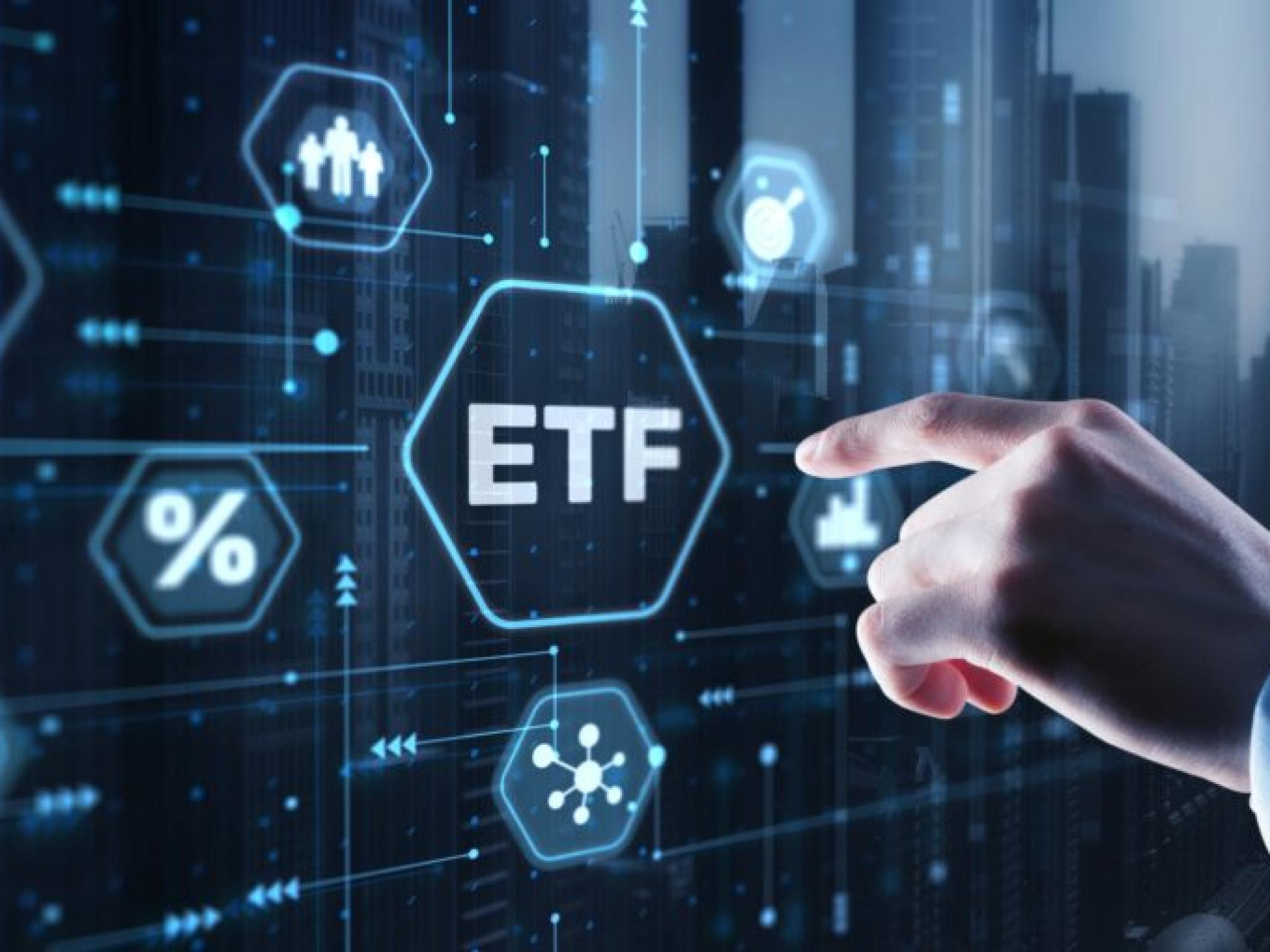 톰 리, `그래니샷` ETF 라인업 확대...소형주·인컴형 ETF 추가