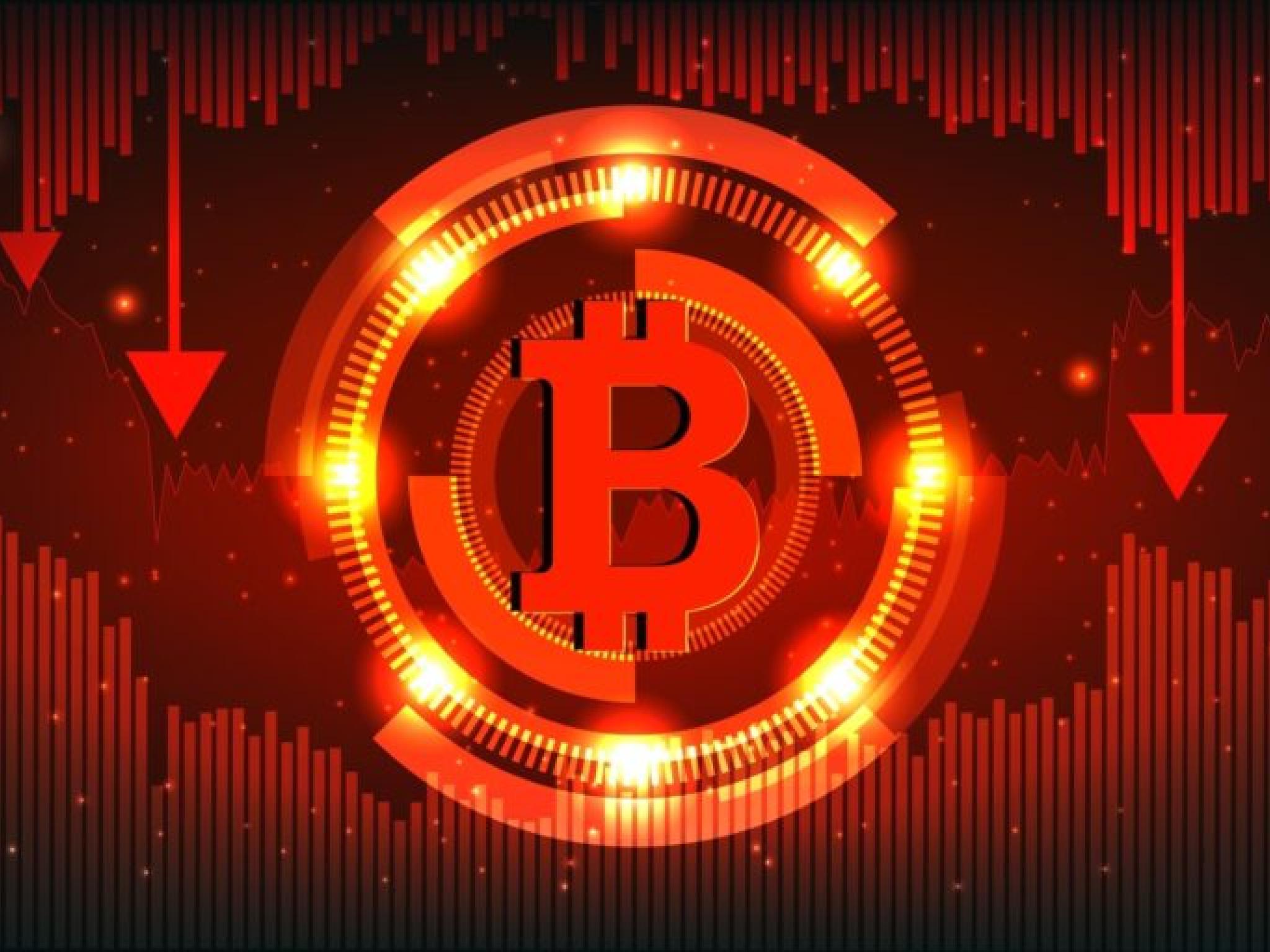 비트코인 11만달러 붕괴...이더리움·XRP·도지코인도 하락세