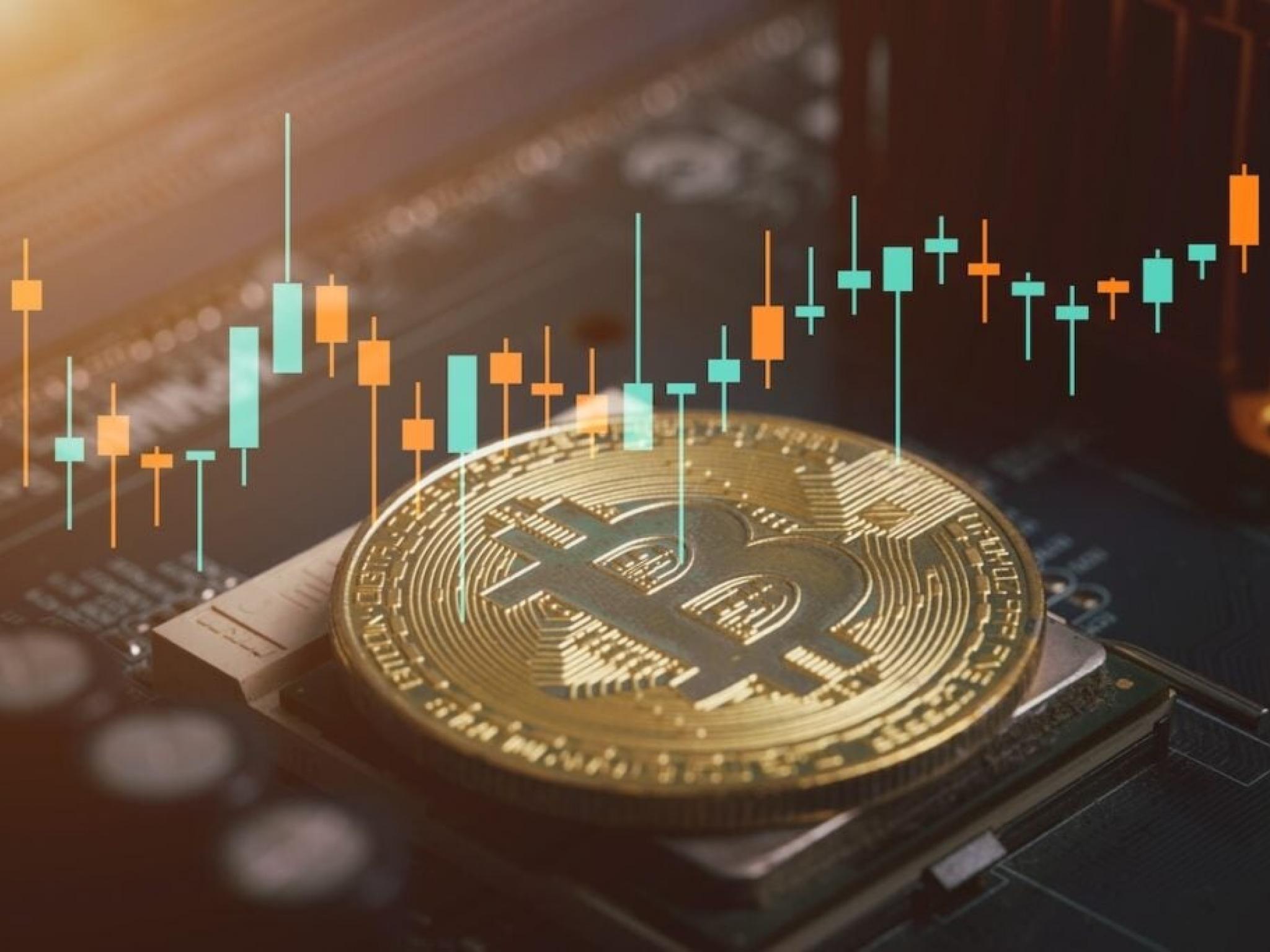 연준 금리인하에 비트코인 11만7000달러 돌파...이더리움·XRP·도지코인도 강세