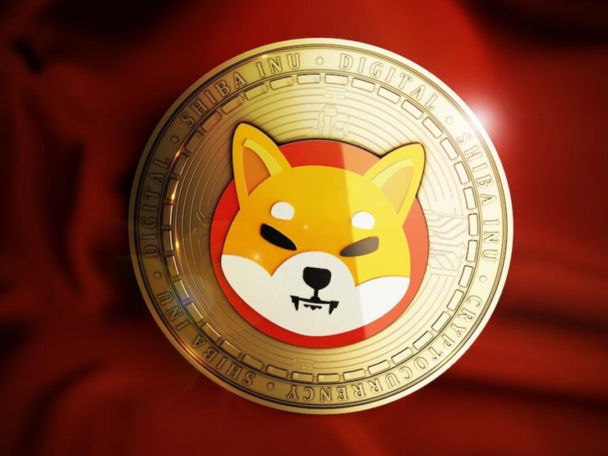  shiba-inu-confirms-hack-losses-at-4-million-offers-attacker-a-deal-full-post-mortem-report-to-follow 