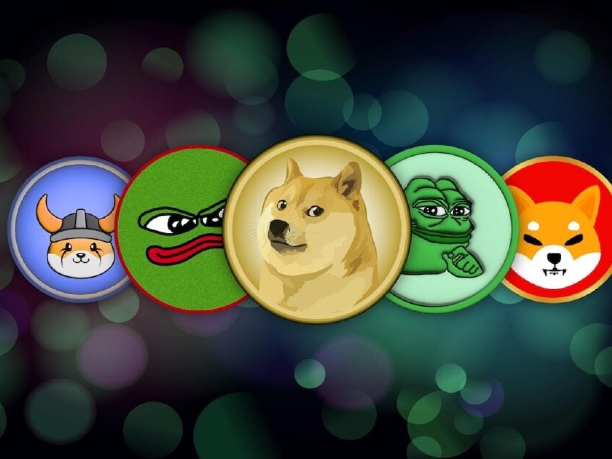 DOGE et SHIB sont terminés – ce graphique BONK montre un potentiel de hausse de 108%